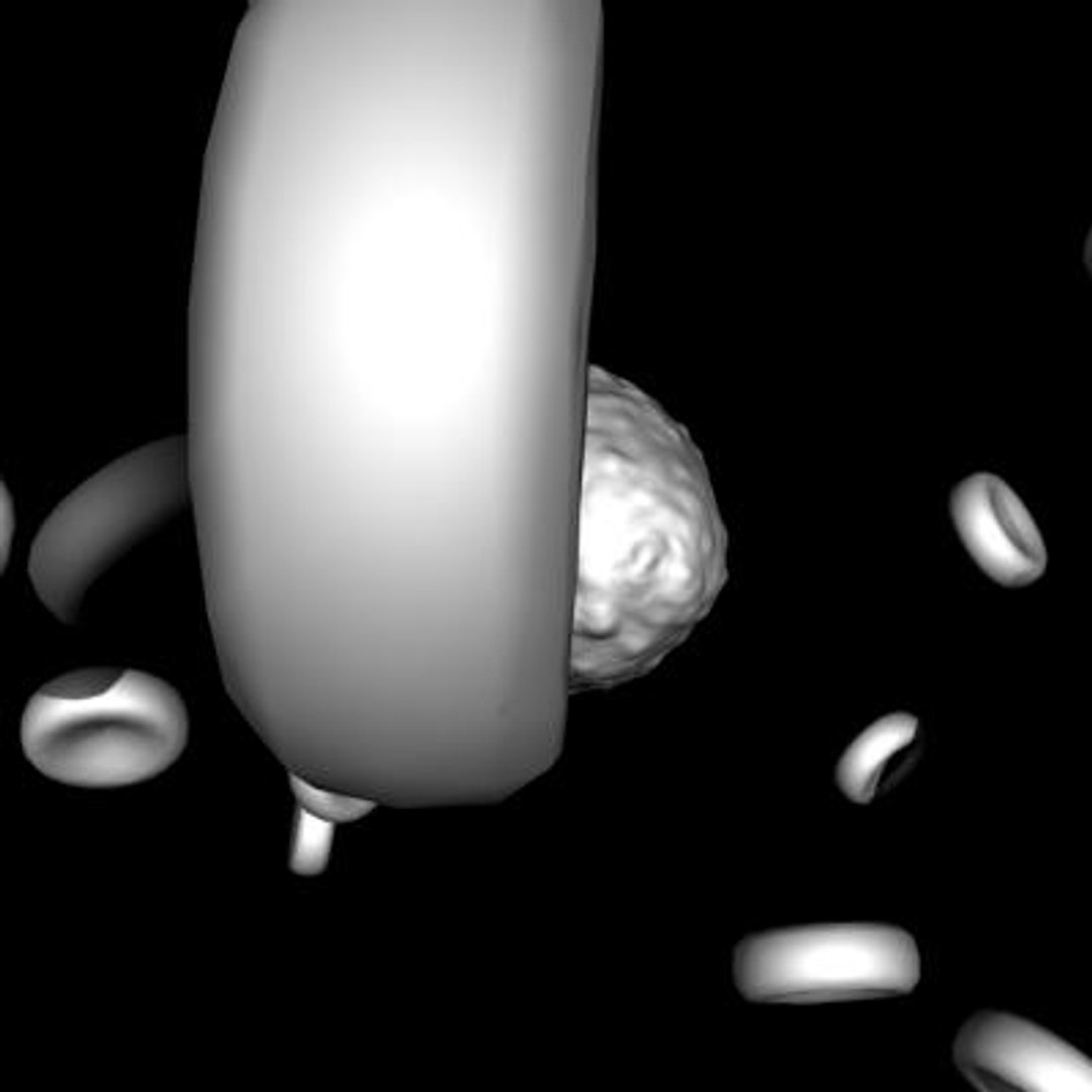 20 viruses virus 3d model https://p.turbosquid.com/ts-thumb/h4/c7Fqg8/6jFvp2e2/ganulosis0/jpg/1284131947/1920x1080/fit_q87/841f12ca11c1710223df475fcb7833b351786881/ganulosis0.jpg