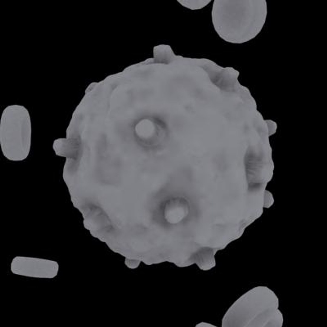 20 viruses virus 3d model https://p.turbosquid.com/ts-thumb/h4/c7Fqg8/7igc4eMb/gammretrovirus7/jpg/1284131926/1920x1080/fit_q87/4ca245d5baeff91bafa6d51c49f0e15d94750b41/gammretrovirus7.jpg