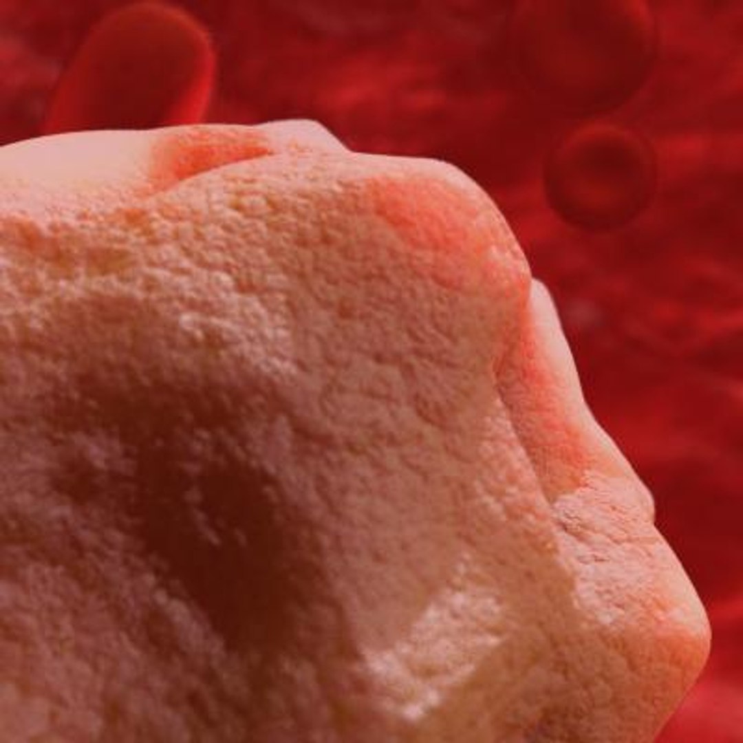 20 viruses virus 3d model https://p.turbosquid.com/ts-thumb/h4/c7Fqg8/8XsSYVn7/hepatovirus2/jpg/1284131980/1920x1080/fit_q87/814911f84bf919285851e2fdf83187301e300a20/hepatovirus2.jpg