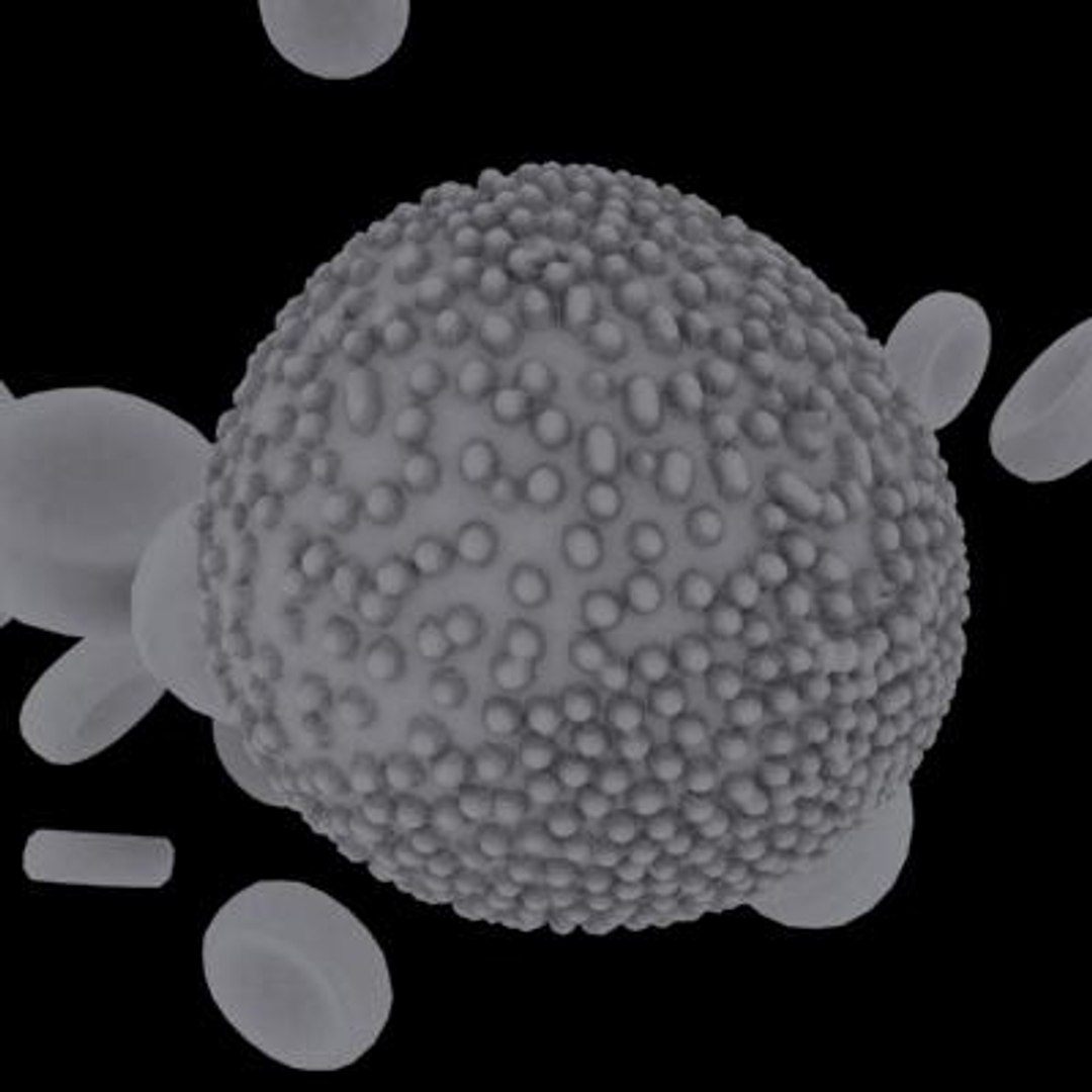 20 viruses virus 3d model https://p.turbosquid.com/ts-thumb/h4/c7Fqg8/90cdYogi/flavivirus7/jpg/1284131907/1920x1080/fit_q87/7cdbfc136fae349bbc7a856073da2d1ae4bf08a4/flavivirus7.jpg