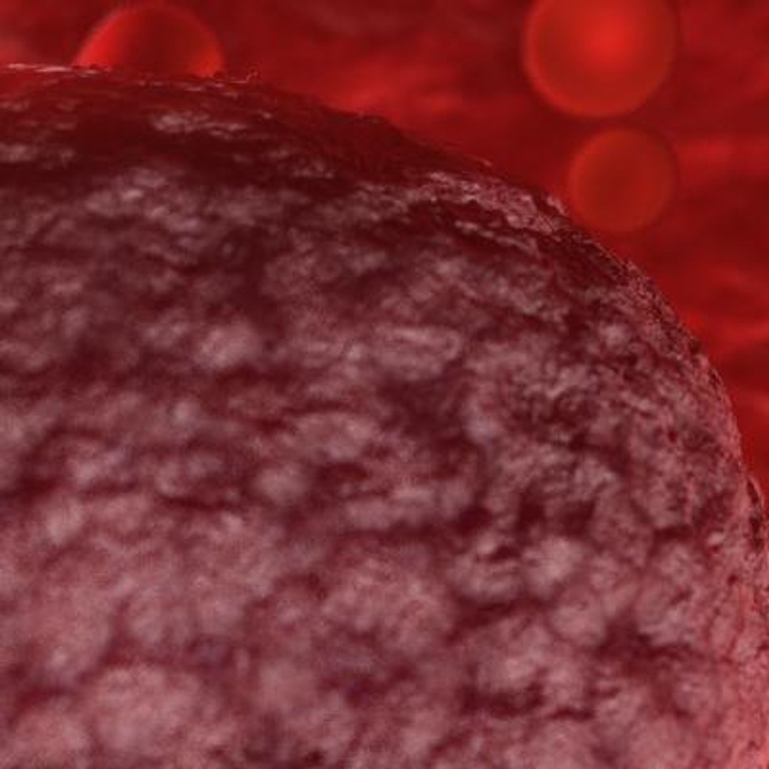 20 viruses virus 3d model https://p.turbosquid.com/ts-thumb/h4/c7Fqg8/98dtJytb/humantcellleukemiavirus2/jpg/1284132049/1920x1080/fit_q87/020760c7aed6e2bbb30d26c3e18cb59fc2cdda3c/humantcellleukemiavirus2.jpg