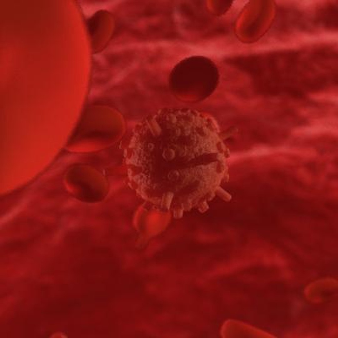 20 viruses virus 3d model https://p.turbosquid.com/ts-thumb/h4/c7Fqg8/DTNxkkfr/infantilegastroenteritisvirus3/jpg/1284132089/1920x1080/fit_q87/d0e502ba7475eb328e3b2c66cbfd548e37b33680/infantilegastroenteritisvirus3.jpg