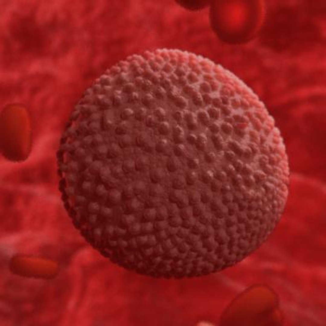 20 viruses virus 3d model https://p.turbosquid.com/ts-thumb/h4/c7Fqg8/ELsuwG4m/flavivirus1/jpg/1284131907/1920x1080/fit_q87/7895d98c10bb2c3a7e8e2fcc7bfbf3009d35779d/flavivirus1.jpg