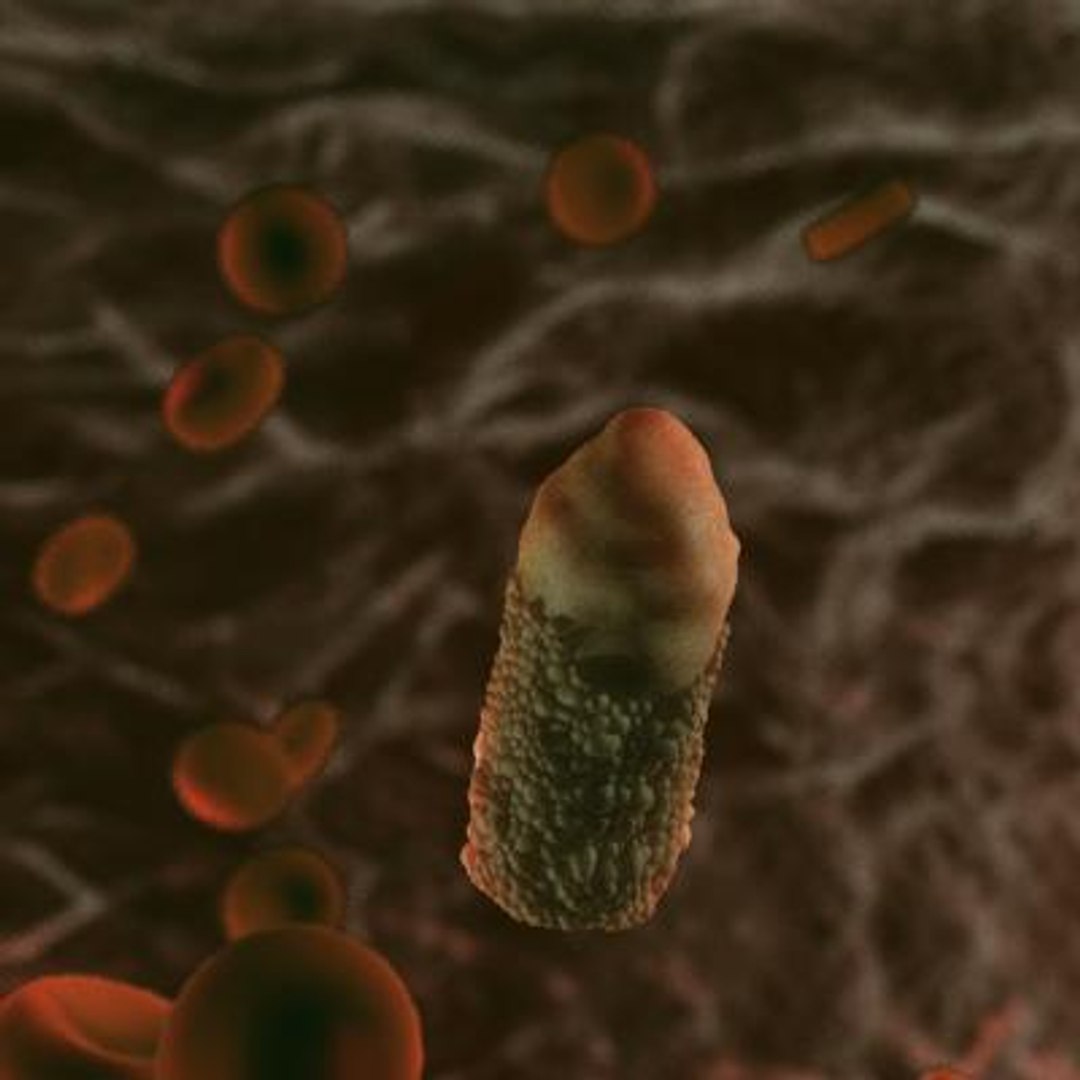 20 viruses virus 3d model https://p.turbosquid.com/ts-thumb/h4/c7Fqg8/FRXiZdDa/infectioushematopoieticnecrosisvirus3/jpg/1284132098/1920x1080/fit_q87/9319b0d48ddbc93a95433857b98a66be5624ec7a/infectioushematopoieticnecrosisvirus3.jpg