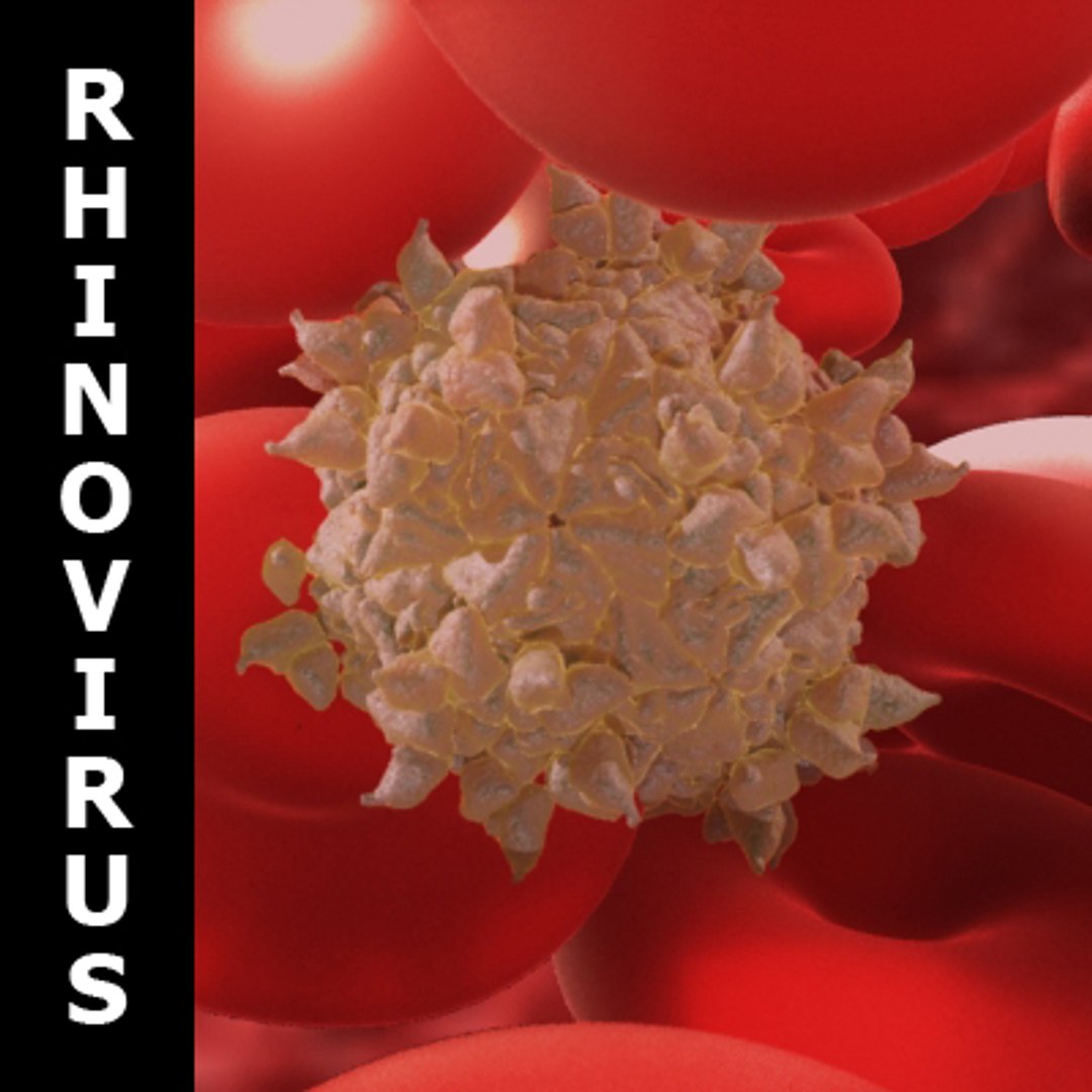 20 viruses virus 3d model https://p.turbosquid.com/ts-thumb/h4/c7Fqg8/G15WfpC3/compile/jpg/1284130924/1920x1080/fit_q87/7b0cb9b65a89c43d0f7794b3586bd3cb23929f2b/compile.jpg