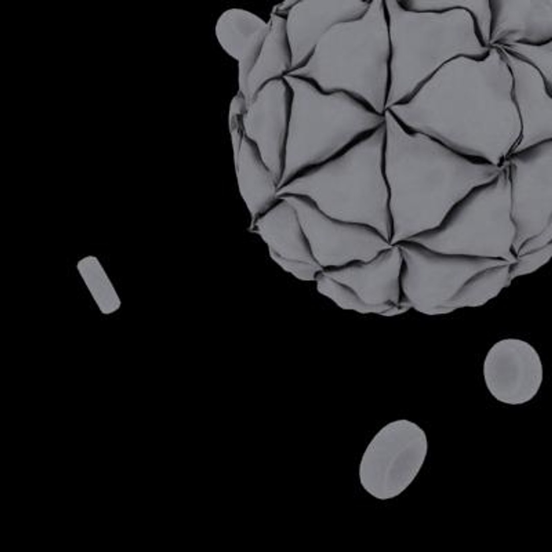 20 viruses virus 3d model https://p.turbosquid.com/ts-thumb/h4/c7Fqg8/GGpbOaYd/blackbeetlevirus10/jpg/1284131885/1920x1080/fit_q87/ab3431d6d8c84b64d7c8b2120c0bc2ab15cbae60/blackbeetlevirus10.jpg