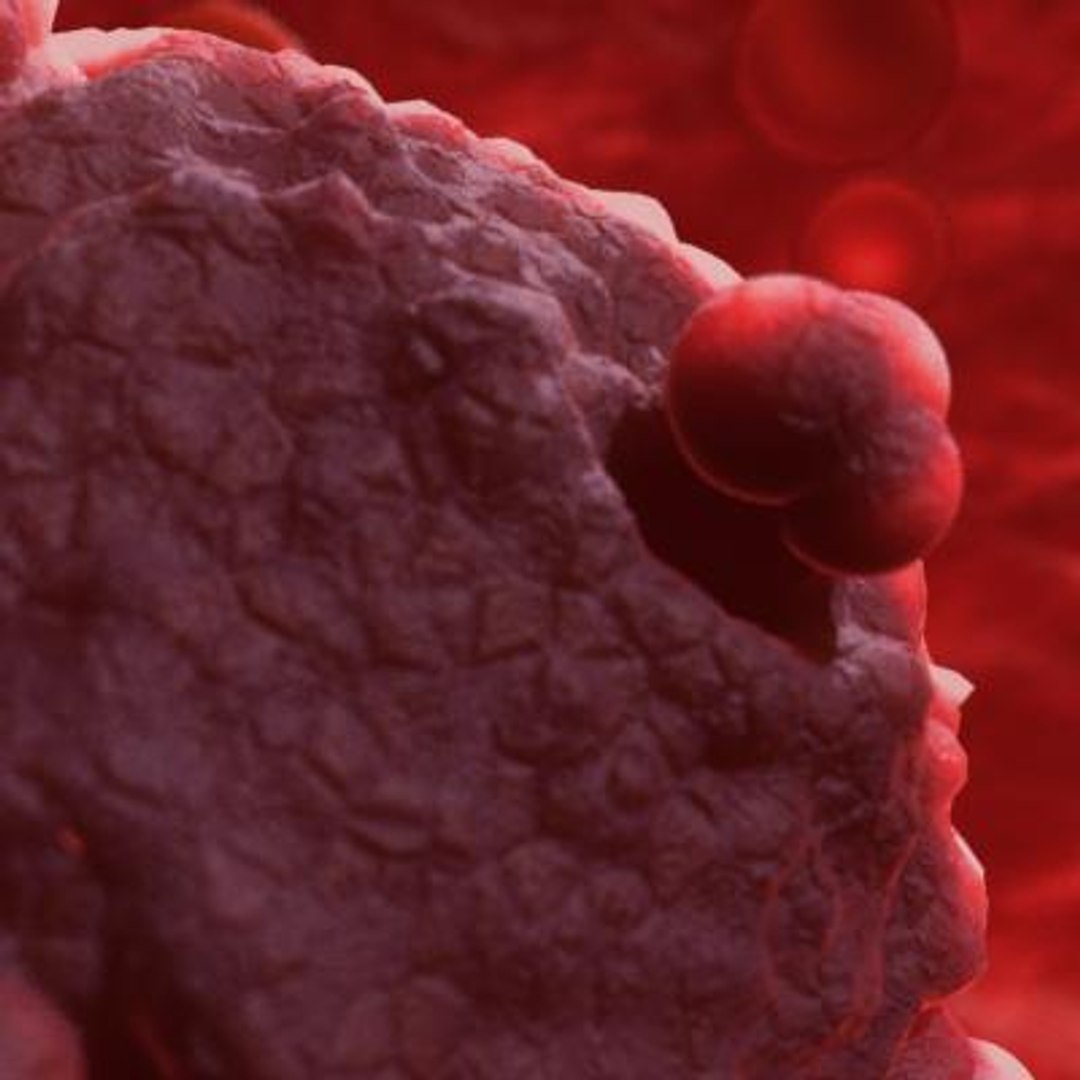 20 viruses virus 3d model https://p.turbosquid.com/ts-thumb/h4/c7Fqg8/Gxo55Ow4/humanfoamyvirus2/jpg/1284132022/1920x1080/fit_q87/64b6ec46c2c3518012b3d4b54c14002e9ae373ba/humanfoamyvirus2.jpg
