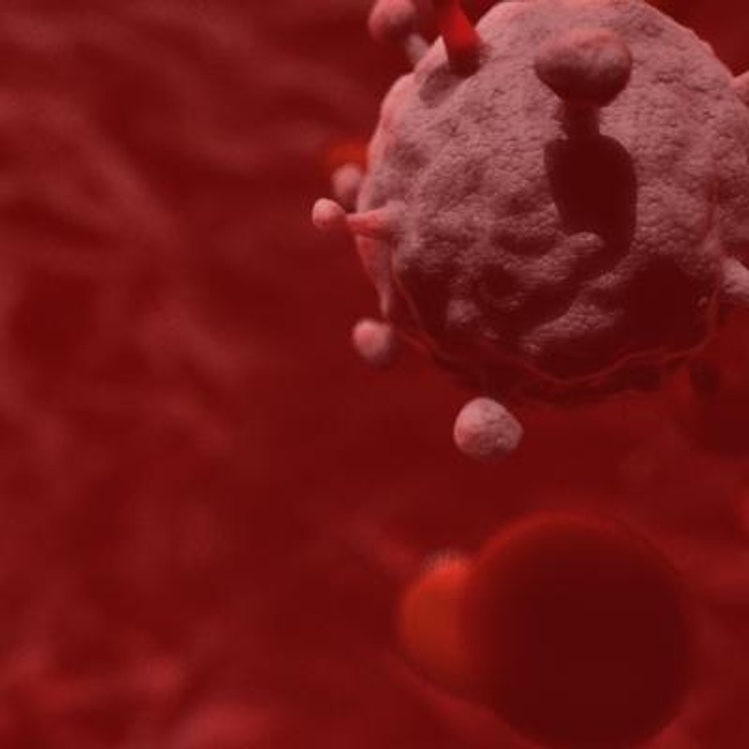 20 viruses virus 3d model https://p.turbosquid.com/ts-thumb/h4/c7Fqg8/HVhDfWlz/humanblymphotropicvirus4/jpg/1284132001/1920x1080/fit_q87/bda11399ff2aae277cbaeb12332cb3684037ca4c/humanblymphotropicvirus4.jpg
