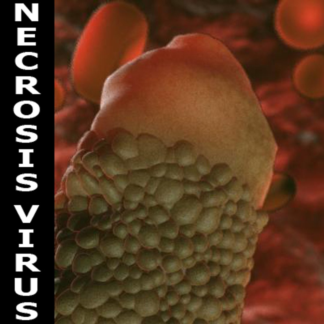 20 viruses virus 3d model https://p.turbosquid.com/ts-thumb/h4/c7Fqg8/HoHr6AVK/compile/jpg/1284130950/1920x1080/fit_q87/0c486ebb2617426ab745421a502804692b548e78/compile.jpg