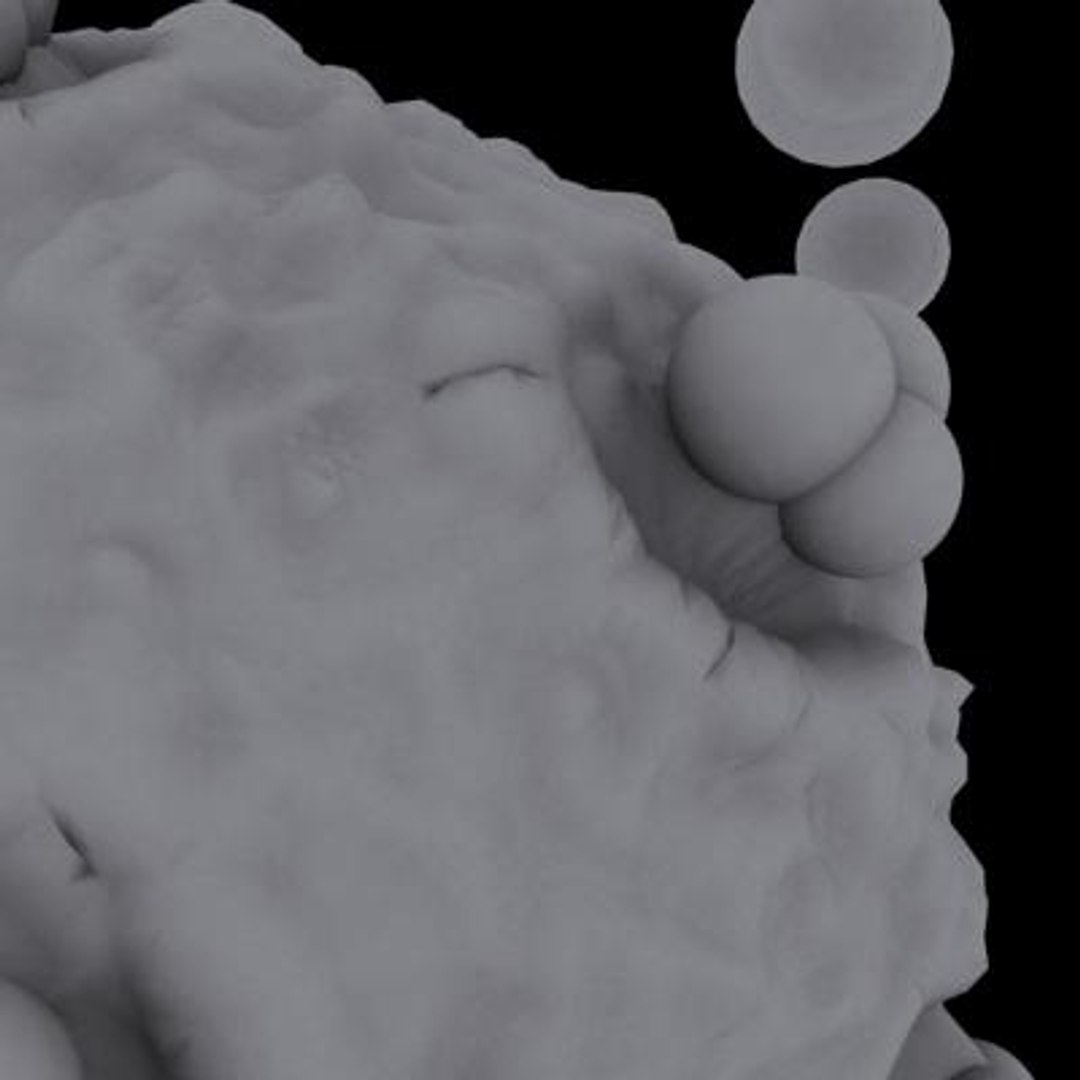20 viruses virus 3d model https://p.turbosquid.com/ts-thumb/h4/c7Fqg8/IhZ9RWyR/humanfoamyvirus8/jpg/1284132023/1920x1080/fit_q87/a78dd270fed20b4edb381d77d79ec2115bc9a4c7/humanfoamyvirus8.jpg