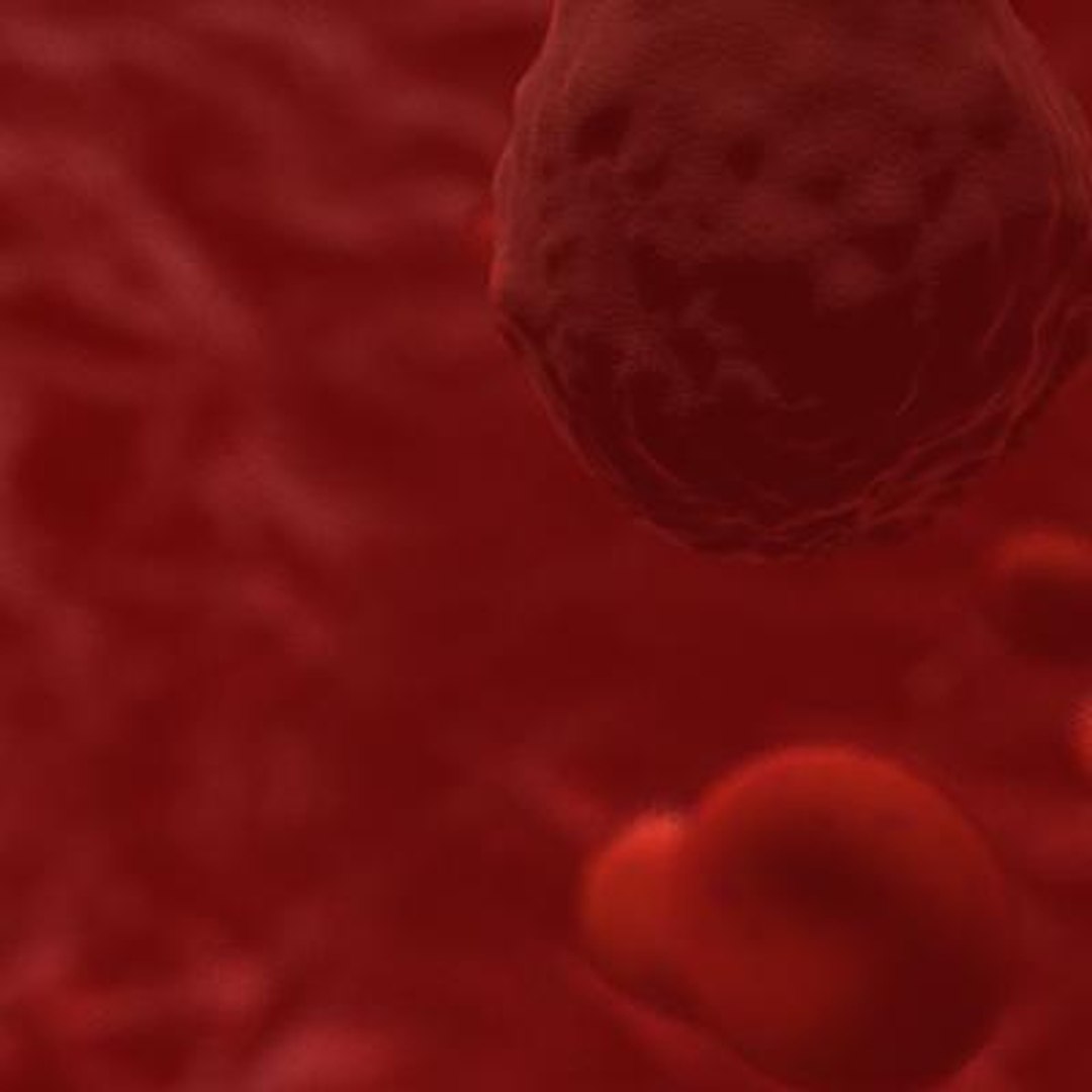 20 viruses virus 3d model https://p.turbosquid.com/ts-thumb/h4/c7Fqg8/J1piLQpj/ganulosis4/jpg/1284131947/1920x1080/fit_q87/8064b2fdf9d0e3b444cffb18d3008c9233904bbd/ganulosis4.jpg