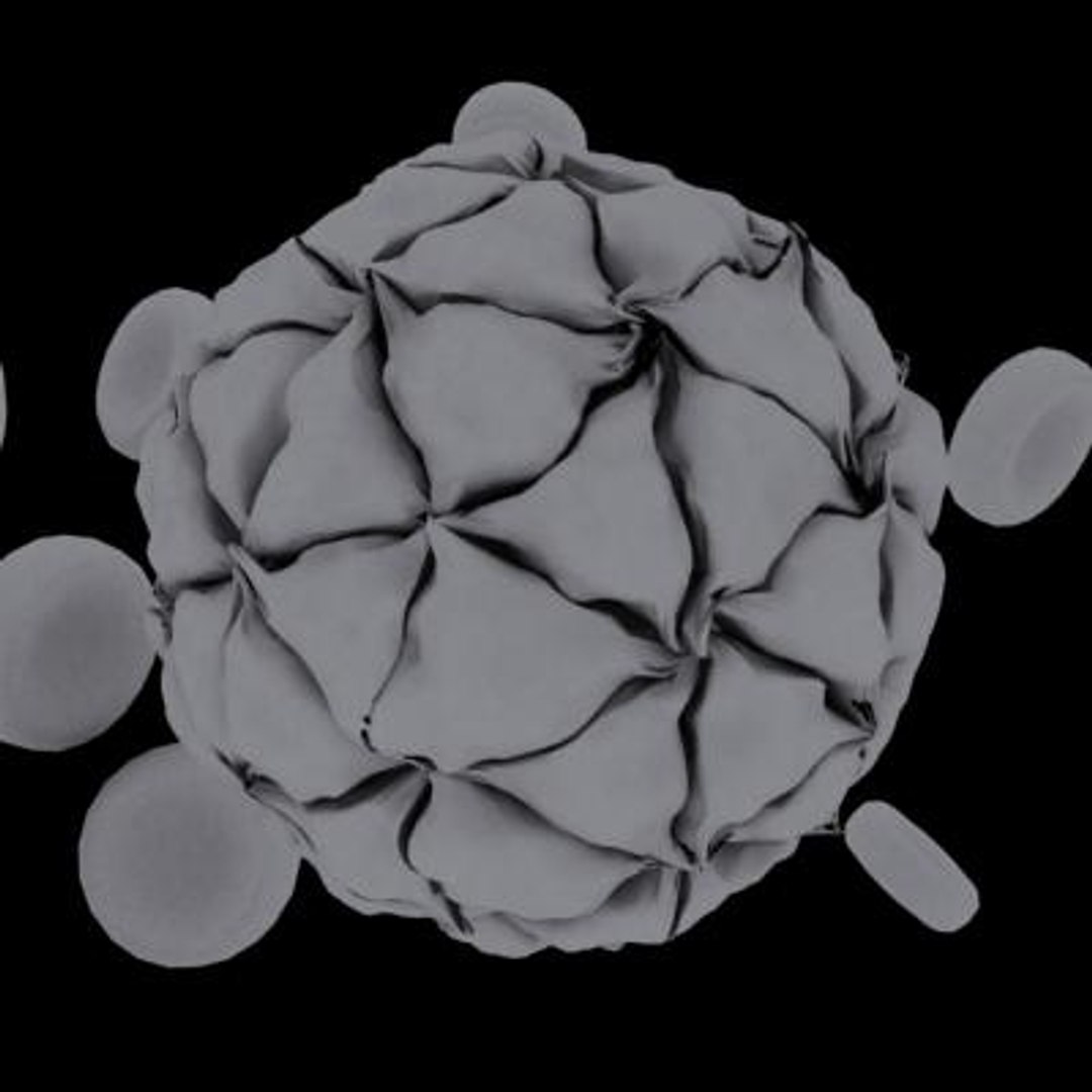 20 viruses virus 3d model https://p.turbosquid.com/ts-thumb/h4/c7Fqg8/JuFsqBiR/blackbeetlevirus6/jpg/1284131885/1920x1080/fit_q87/23f38479a56e56e01d4b261c063f96a165357ea5/blackbeetlevirus6.jpg