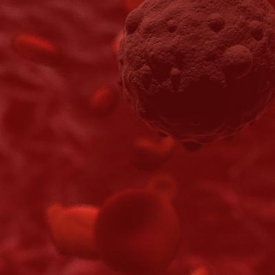 20 viruses virus 3d model https://p.turbosquid.com/ts-thumb/h4/c7Fqg8/K0f1ZIUC/hantavirus4/jpg/1284131963/1920x1080/fit_q87/bcc14cbfcca1b6def7020a2e209b3cf33d0cc242/hantavirus4.jpg