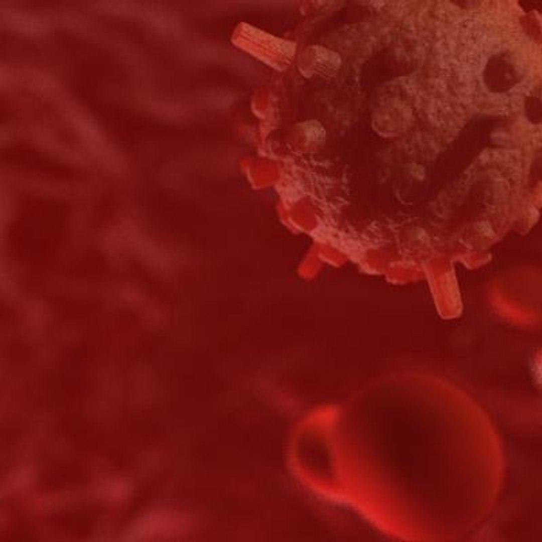 20 viruses virus 3d model https://p.turbosquid.com/ts-thumb/h4/c7Fqg8/Kez7hQhj/infantilegastroenteritisvirus4/jpg/1284132089/1920x1080/fit_q87/42997492a62661226051096f1104431e01fb3b44/infantilegastroenteritisvirus4.jpg