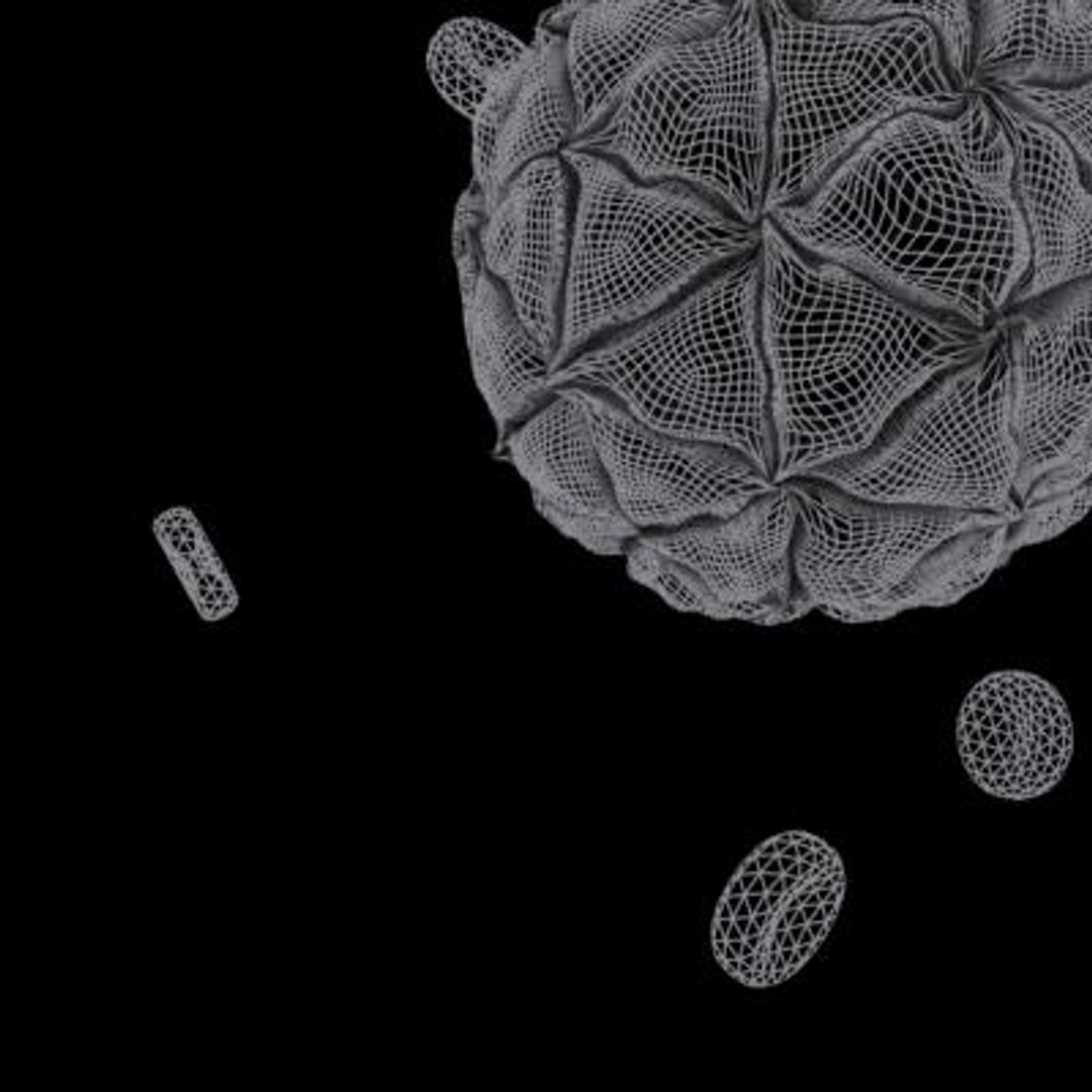 20 viruses virus 3d model https://p.turbosquid.com/ts-thumb/h4/c7Fqg8/KgarblE4/blackbeetlevirus16/jpg/1284131885/1920x1080/fit_q87/5d901d7a3c3d94637d544b83243a1a87ac58a223/blackbeetlevirus16.jpg