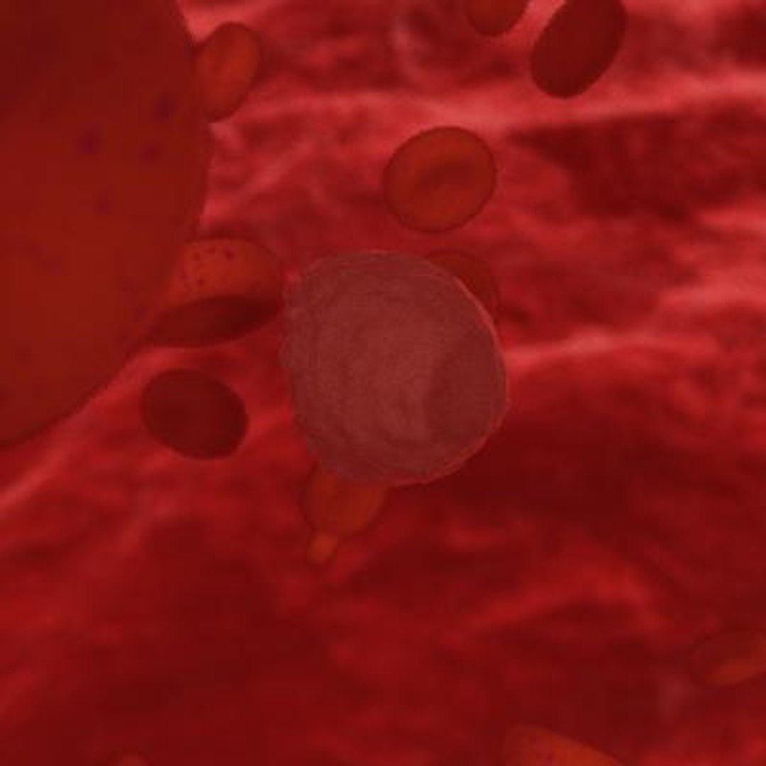 20 viruses virus 3d model https://p.turbosquid.com/ts-thumb/h4/c7Fqg8/Km2h8bbS/ganulosis3/jpg/1284131947/1920x1080/fit_q87/6b900ae8cda906e4474b30bd139a7181d081ff4e/ganulosis3.jpg