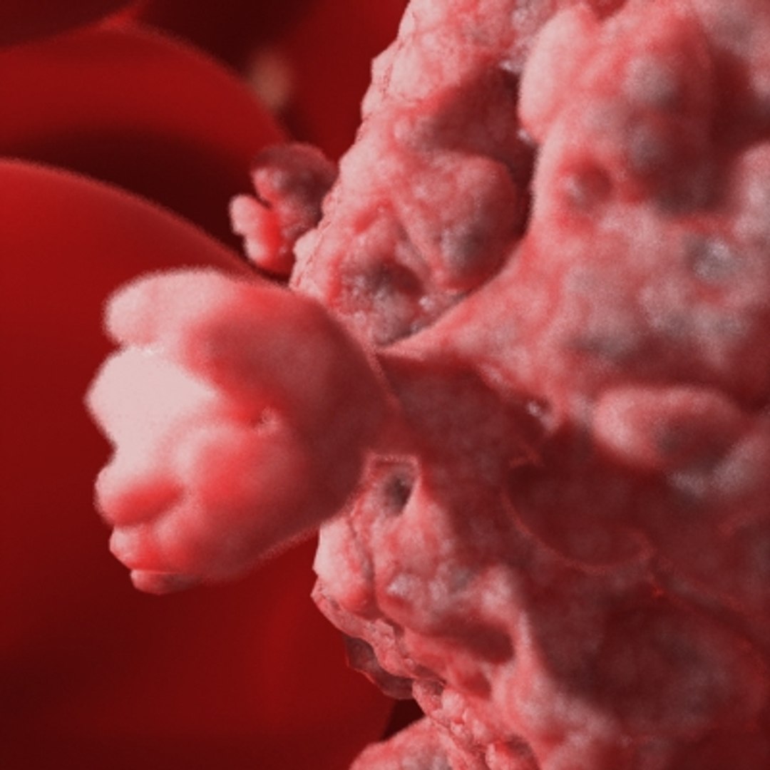 20 viruses virus 3d model https://p.turbosquid.com/ts-thumb/h4/c7Fqg8/LVzmMXuw/2/jpg/1284132099/1920x1080/fit_q87/a6aff1ff3dabd464b79395c807ebfa51ec60ae4c/2.jpg