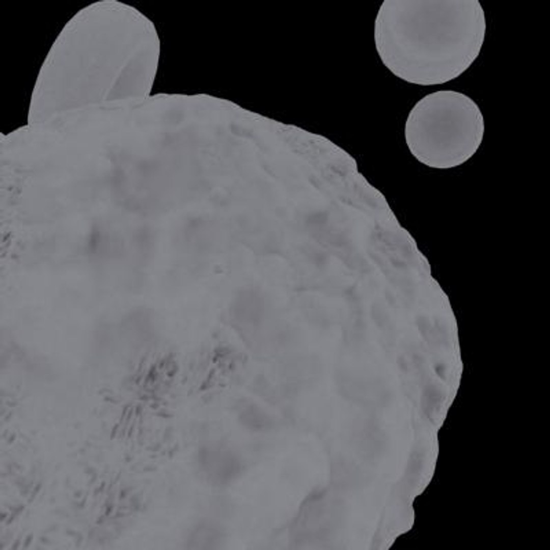 20 viruses virus 3d model https://p.turbosquid.com/ts-thumb/h4/c7Fqg8/ONvOodJg/ichnovirus8/jpg/1284132071/1920x1080/fit_q87/be08a2bedf97f5b9612e88bccb3ce7e0552b5166/ichnovirus8.jpg