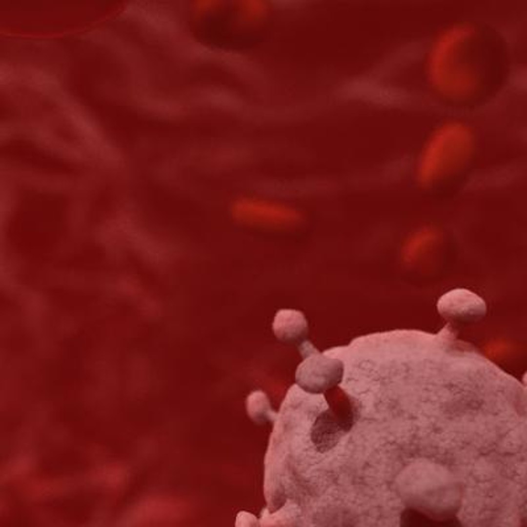 20 viruses virus 3d model https://p.turbosquid.com/ts-thumb/h4/c7Fqg8/QA3uG9kY/humanblymphotropicvirus6/jpg/1284132001/1920x1080/fit_q87/5417b8d88eca952ac85620ab175547a10411d3d1/humanblymphotropicvirus6.jpg