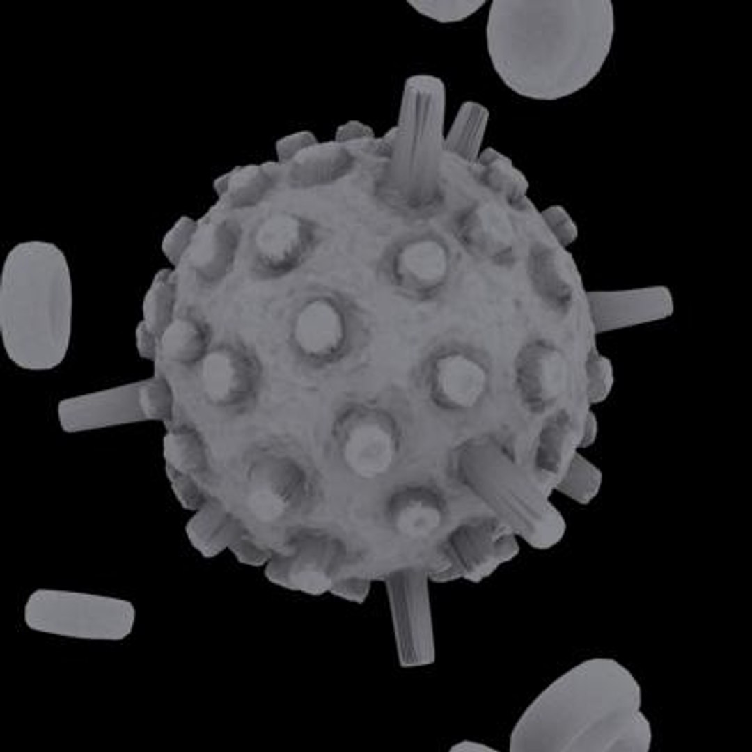 20 viruses virus 3d model https://p.turbosquid.com/ts-thumb/h4/c7Fqg8/QDDJKJ5A/infantilegastroenteritisvirus7/jpg/1284132089/1920x1080/fit_q87/93dab035a19445454d7cbc696da470f560737693/infantilegastroenteritisvirus7.jpg