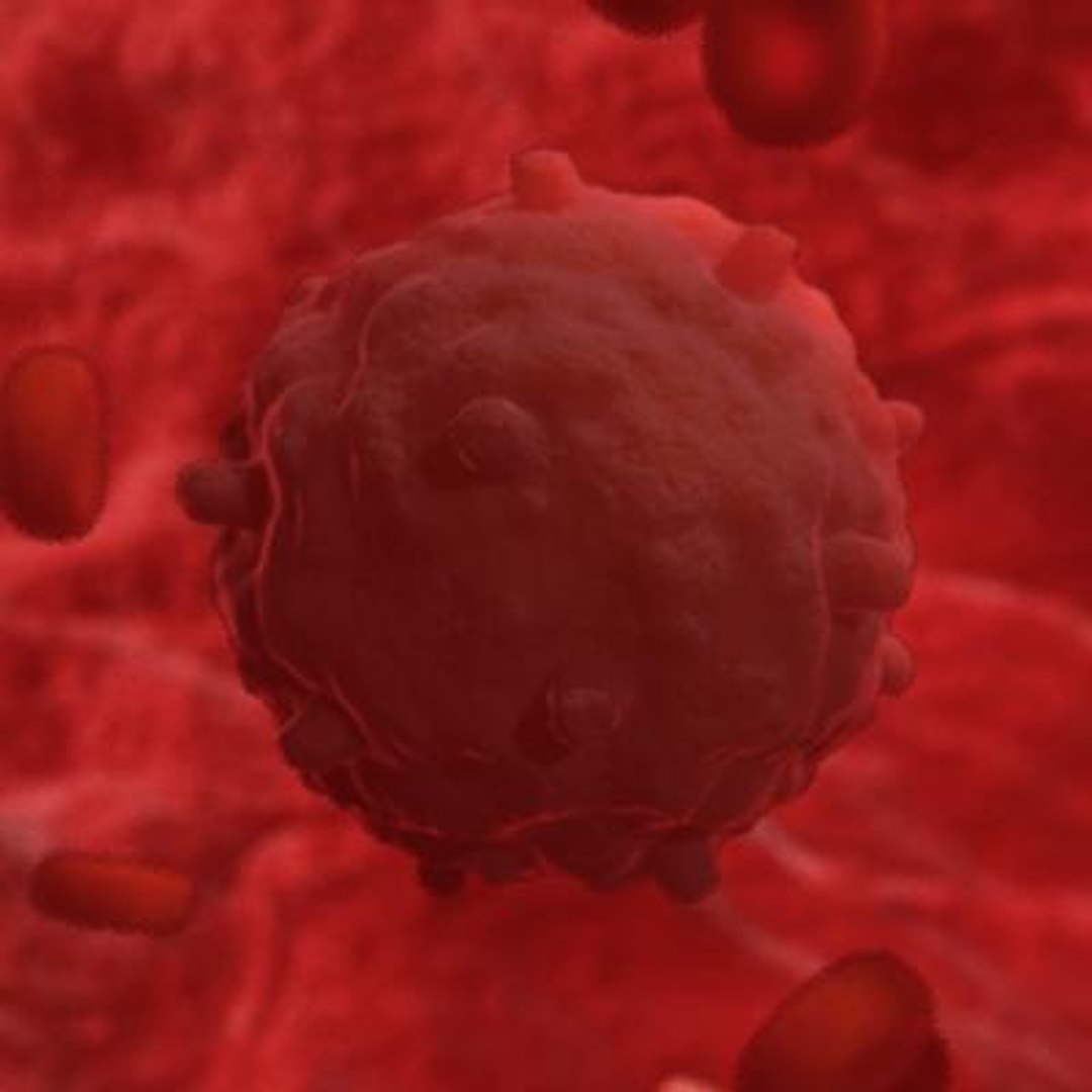 20 viruses virus 3d model https://p.turbosquid.com/ts-thumb/h4/c7Fqg8/RAsB25nA/gammretrovirus1/jpg/1284131926/1920x1080/fit_q87/6e73693d7f3b6b754536c97ff23b6b1d8a84a550/gammretrovirus1.jpg