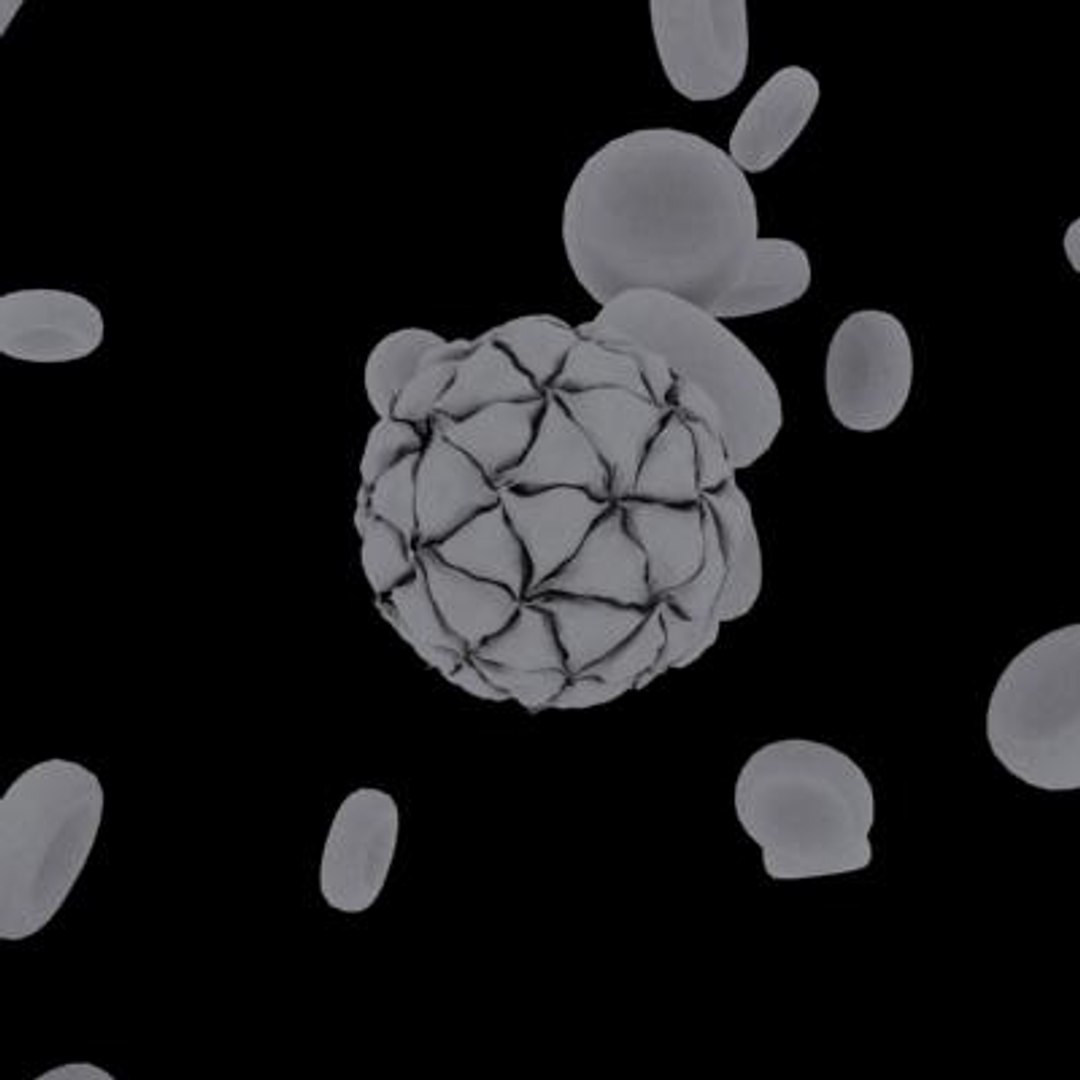 20 viruses virus 3d model https://p.turbosquid.com/ts-thumb/h4/c7Fqg8/RtK6RqJL/blackbeetlevirus9/jpg/1284131885/1920x1080/fit_q87/0ef53f21515ccd3824aba879ac92298f1a474bd5/blackbeetlevirus9.jpg