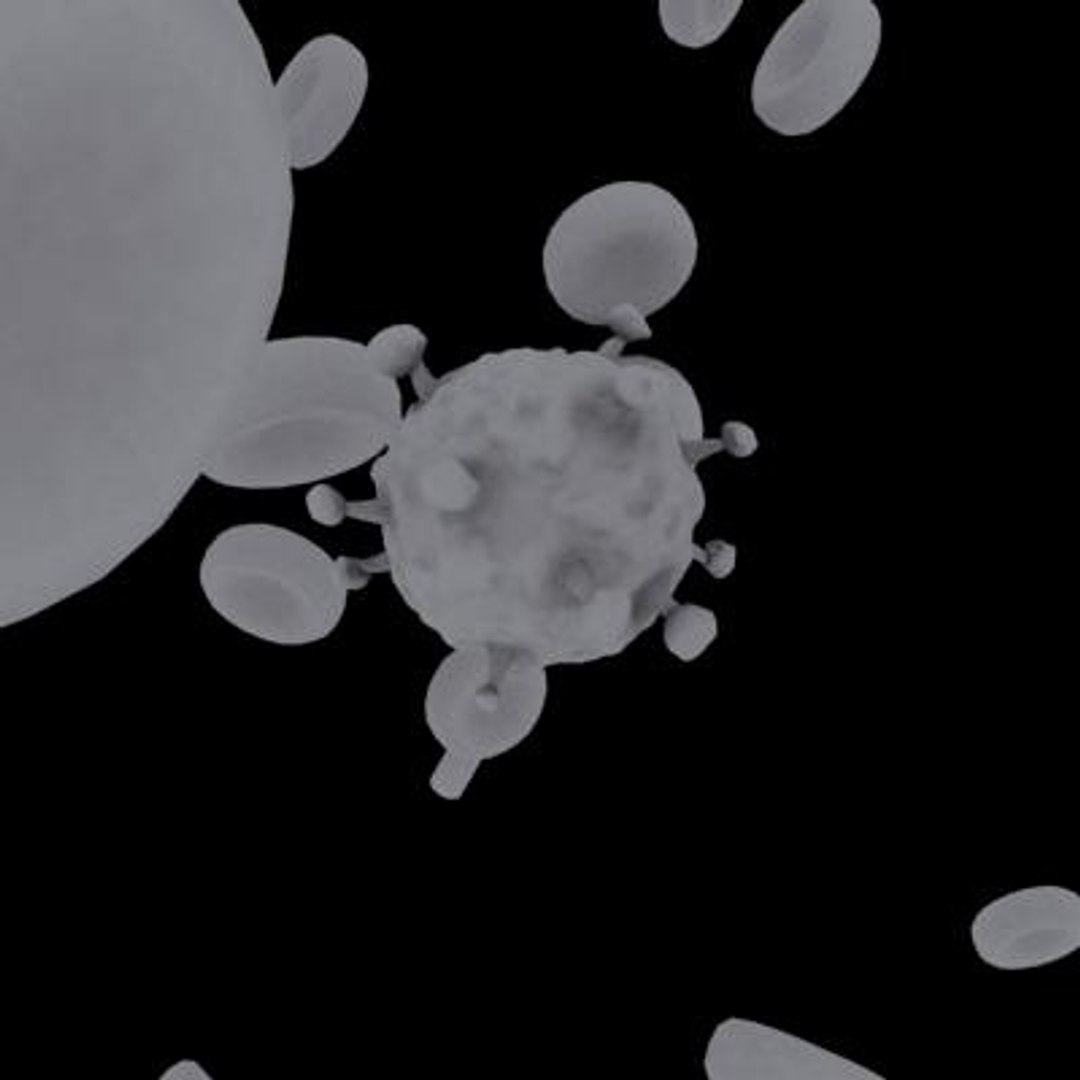 20 viruses virus 3d model https://p.turbosquid.com/ts-thumb/h4/c7Fqg8/SIgYHa6K/humanblymphotropicvirus9/jpg/1284132001/1920x1080/fit_q87/ec5e6fe44f88f470b60340e3e4b1d36a890ad5d4/humanblymphotropicvirus9.jpg