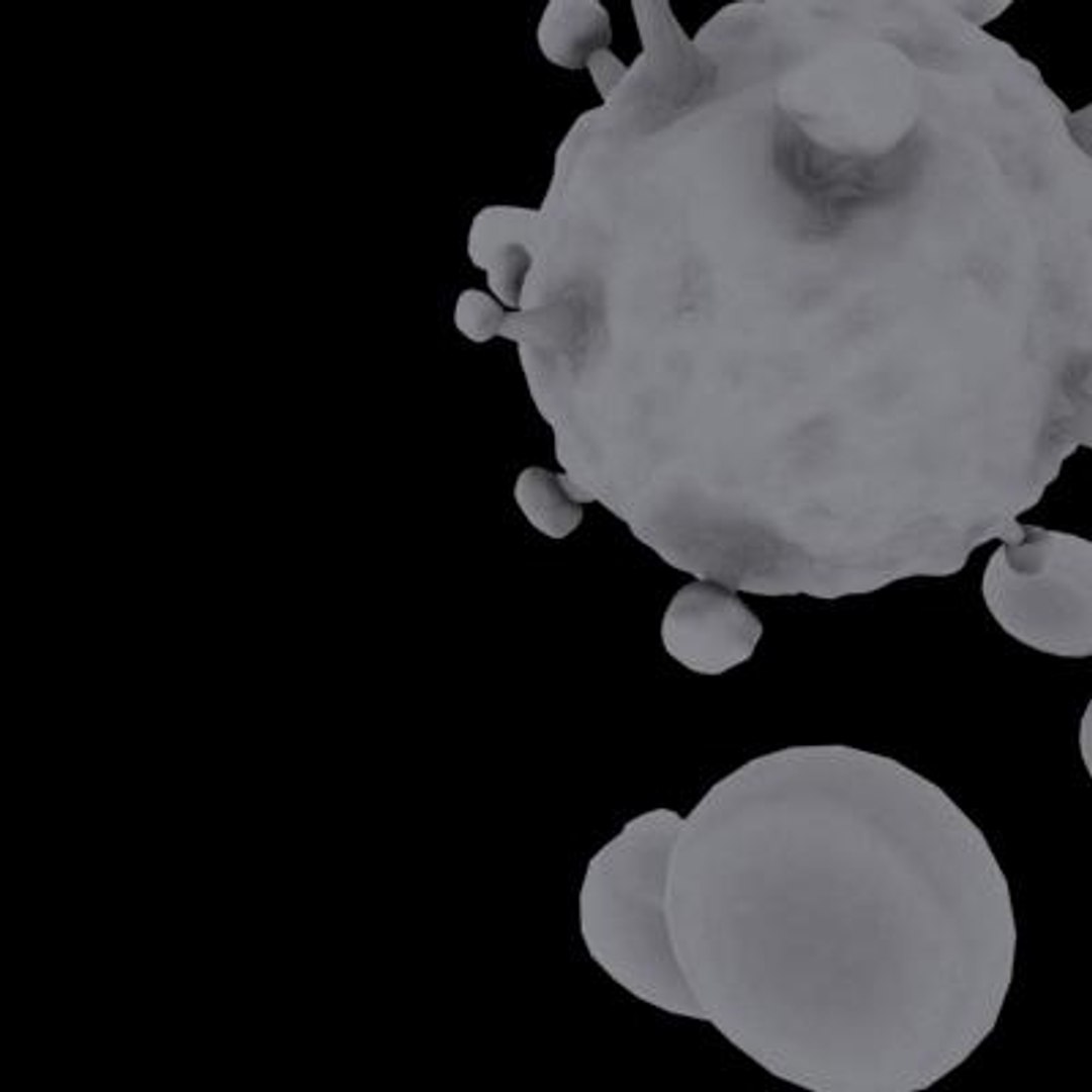 20 viruses virus 3d model https://p.turbosquid.com/ts-thumb/h4/c7Fqg8/SoqMRu0d/humanblymphotropicvirus10/jpg/1284132001/1920x1080/fit_q87/44ef801cfe954325f82690068c79936c22c63867/humanblymphotropicvirus10.jpg