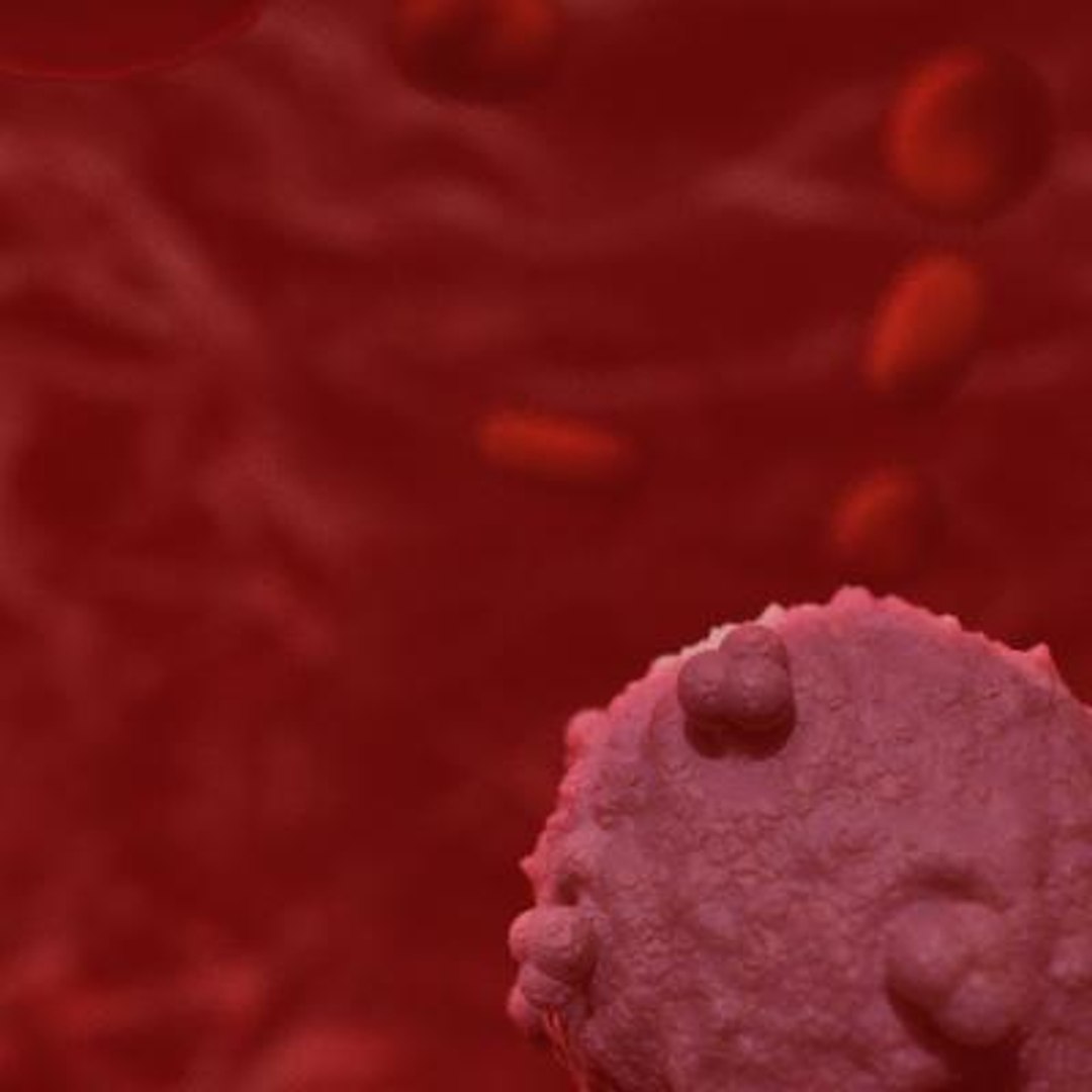 20 viruses virus 3d model https://p.turbosquid.com/ts-thumb/h4/c7Fqg8/TGrKbHyb/humanfoamyvirus6/jpg/1284132023/1920x1080/fit_q87/ec9a386203ba769f4f203a39ea0caa37aaccc2ba/humanfoamyvirus6.jpg