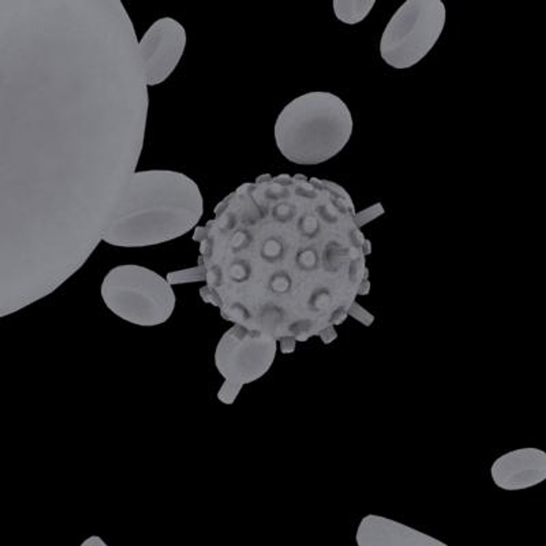 20 viruses virus 3d model https://p.turbosquid.com/ts-thumb/h4/c7Fqg8/TaUj5PCf/infantilegastroenteritisvirus9/jpg/1284132089/1920x1080/fit_q87/bf1f9f7e0f0c38a99d3b35974f7aa330a987ac0b/infantilegastroenteritisvirus9.jpg