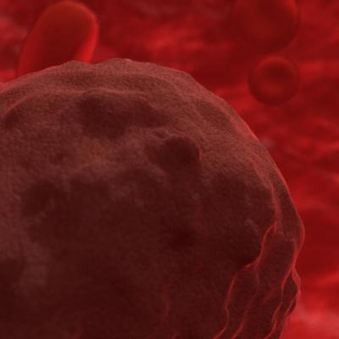 20 viruses virus 3d model https://p.turbosquid.com/ts-thumb/h4/c7Fqg8/UBrf6RQW/ganulosis2/jpg/1284131947/1920x1080/fit_q87/0c901ae430dc48b0cdae22008f94b92bb6e6db9f/ganulosis2.jpg