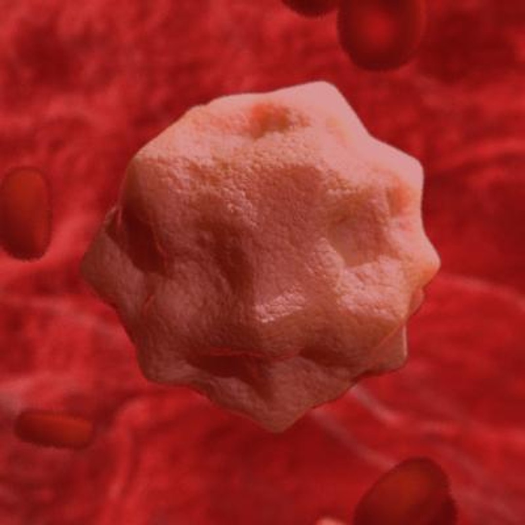 20 viruses virus 3d model https://p.turbosquid.com/ts-thumb/h4/c7Fqg8/UTsI3xHz/hepatovirus1/jpg/1284131980/1920x1080/fit_q87/3165713c857b7423031da5c9eb8ce725137f395b/hepatovirus1.jpg
