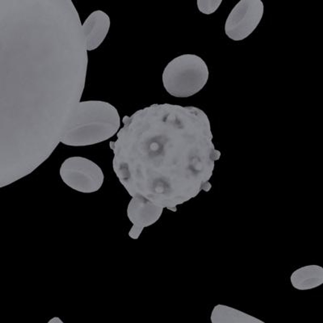 20 viruses virus 3d model https://p.turbosquid.com/ts-thumb/h4/c7Fqg8/UivVtKDv/gammretrovirus9/jpg/1284131926/1920x1080/fit_q87/3b73913c6be810e37f1242408d26169dce43e271/gammretrovirus9.jpg