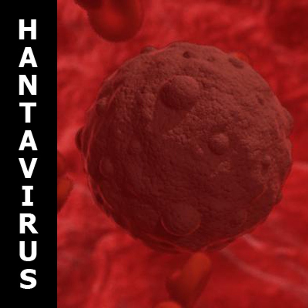 20 viruses virus 3d model https://p.turbosquid.com/ts-thumb/h4/c7Fqg8/VKjIsTnG/compile/jpg/1284130903/1920x1080/fit_q87/8067749a236f609a31525bf1894c23beeb6b65fb/compile.jpg