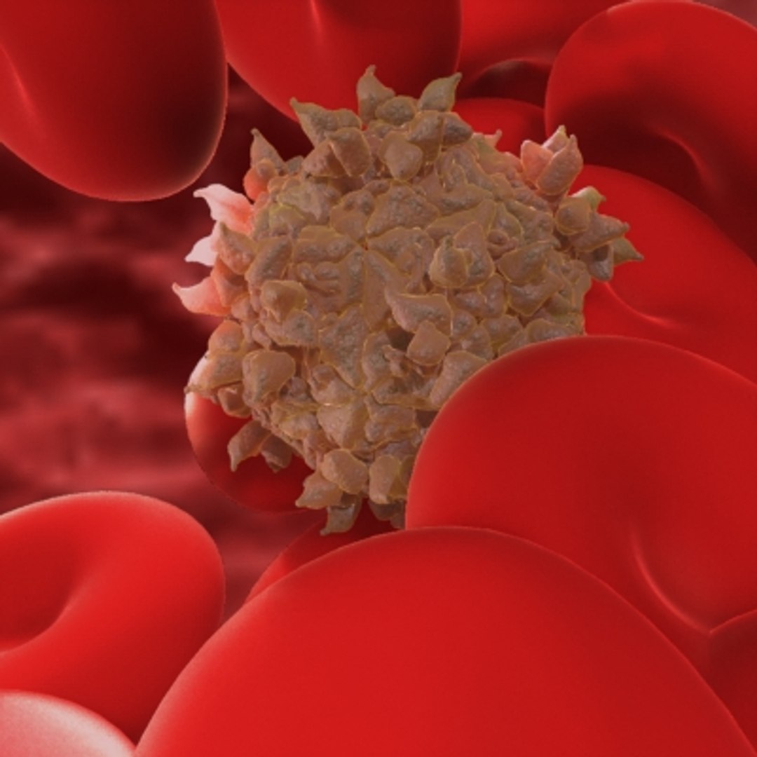 20 viruses virus 3d model https://p.turbosquid.com/ts-thumb/h4/c7Fqg8/VvPxXmYN/3/jpg/1284132030/1920x1080/fit_q87/74c4bd432cda54f21a24ce162fc1223eab7e8035/3.jpg