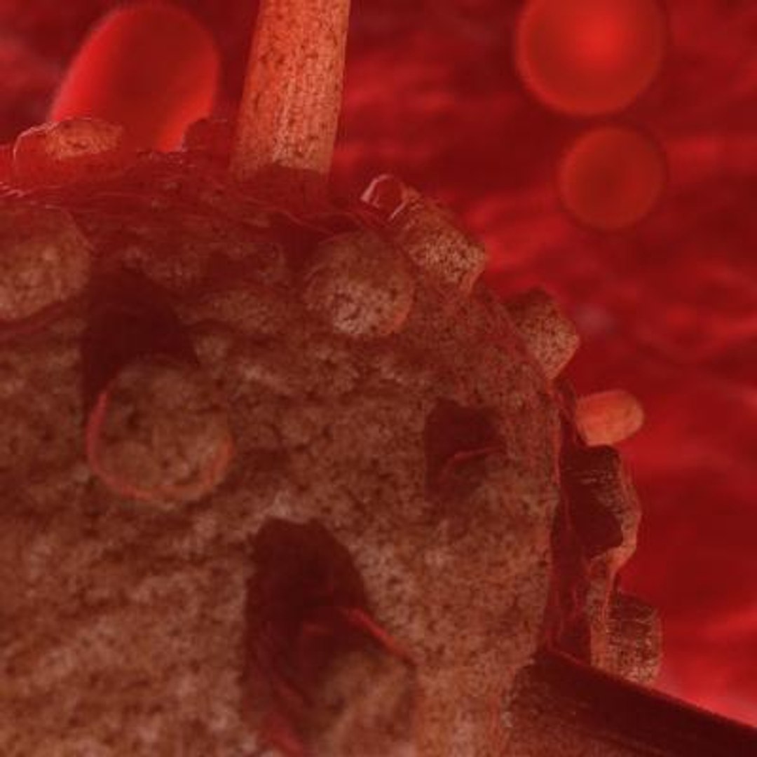 20 viruses virus 3d model https://p.turbosquid.com/ts-thumb/h4/c7Fqg8/WDroqLgQ/infantilegastroenteritisvirus2/jpg/1284132088/1920x1080/fit_q87/012832f184094edb845f9e3e841188c1696f6b05/infantilegastroenteritisvirus2.jpg
