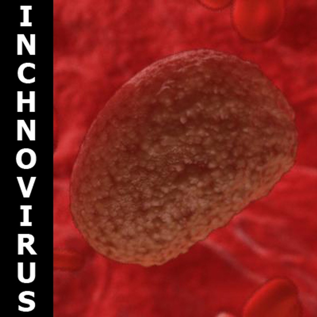20 viruses virus 3d model https://p.turbosquid.com/ts-thumb/h4/c7Fqg8/Wdznfc5X/compile/jpg/1284130932/1920x1080/fit_q87/9a26bb5bd61b03f90a94380b8a46452adc145c09/compile.jpg