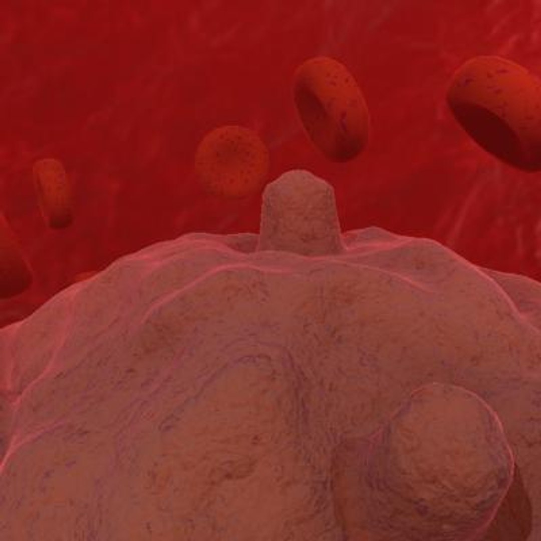 20 viruses virus 3d model https://p.turbosquid.com/ts-thumb/h4/c7Fqg8/WfQAOwcA/gammretrovirus/jpg/1284131926/1920x1080/fit_q87/fdd1db5240f375b8224606ea3467c5801514fb9c/gammretrovirus.jpg