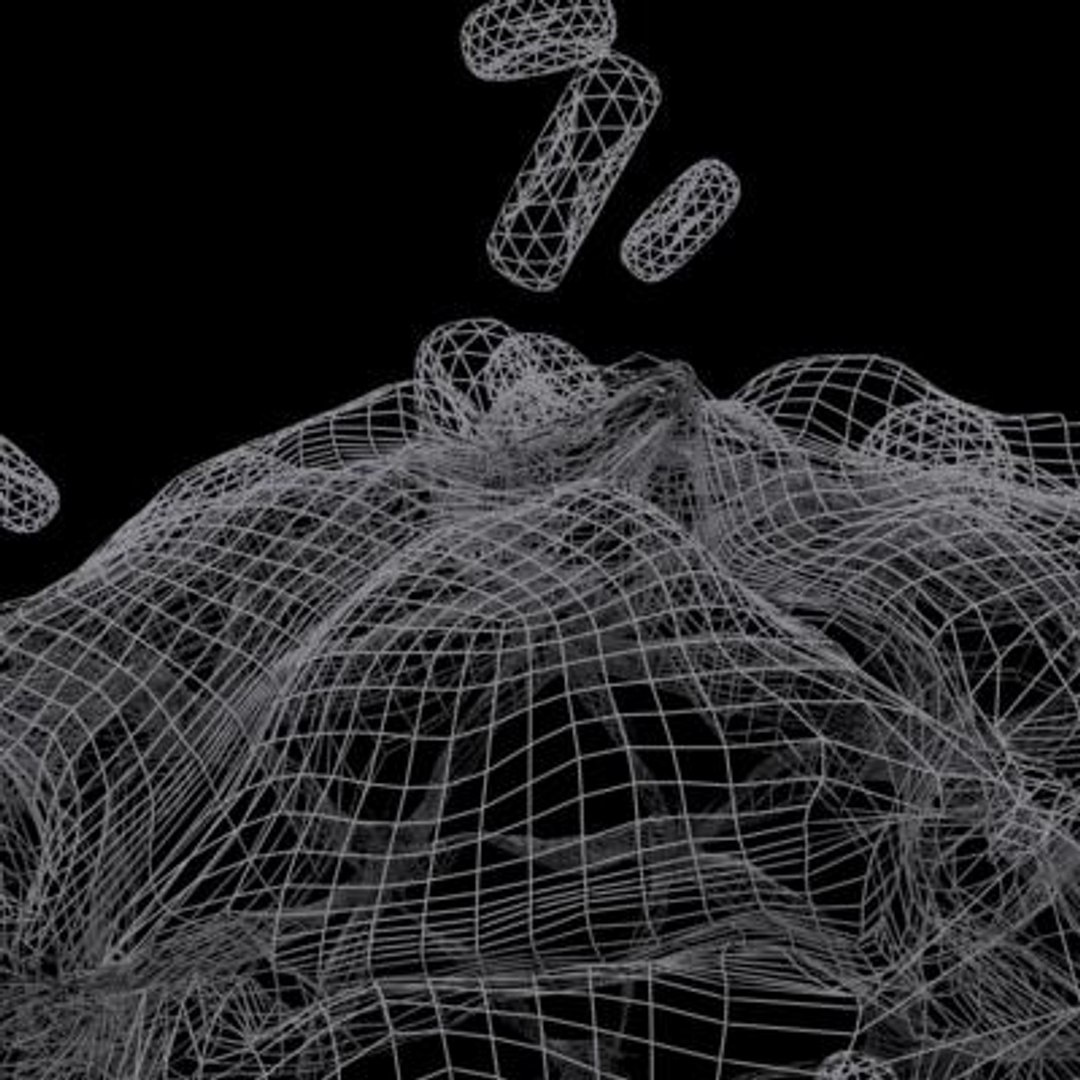 20 viruses virus 3d model https://p.turbosquid.com/ts-thumb/h4/c7Fqg8/YhJKnYgW/blackbeetlevirus17/jpg/1284131885/1920x1080/fit_q87/341ddd0b70bf0605a3447d625276630fc7039572/blackbeetlevirus17.jpg