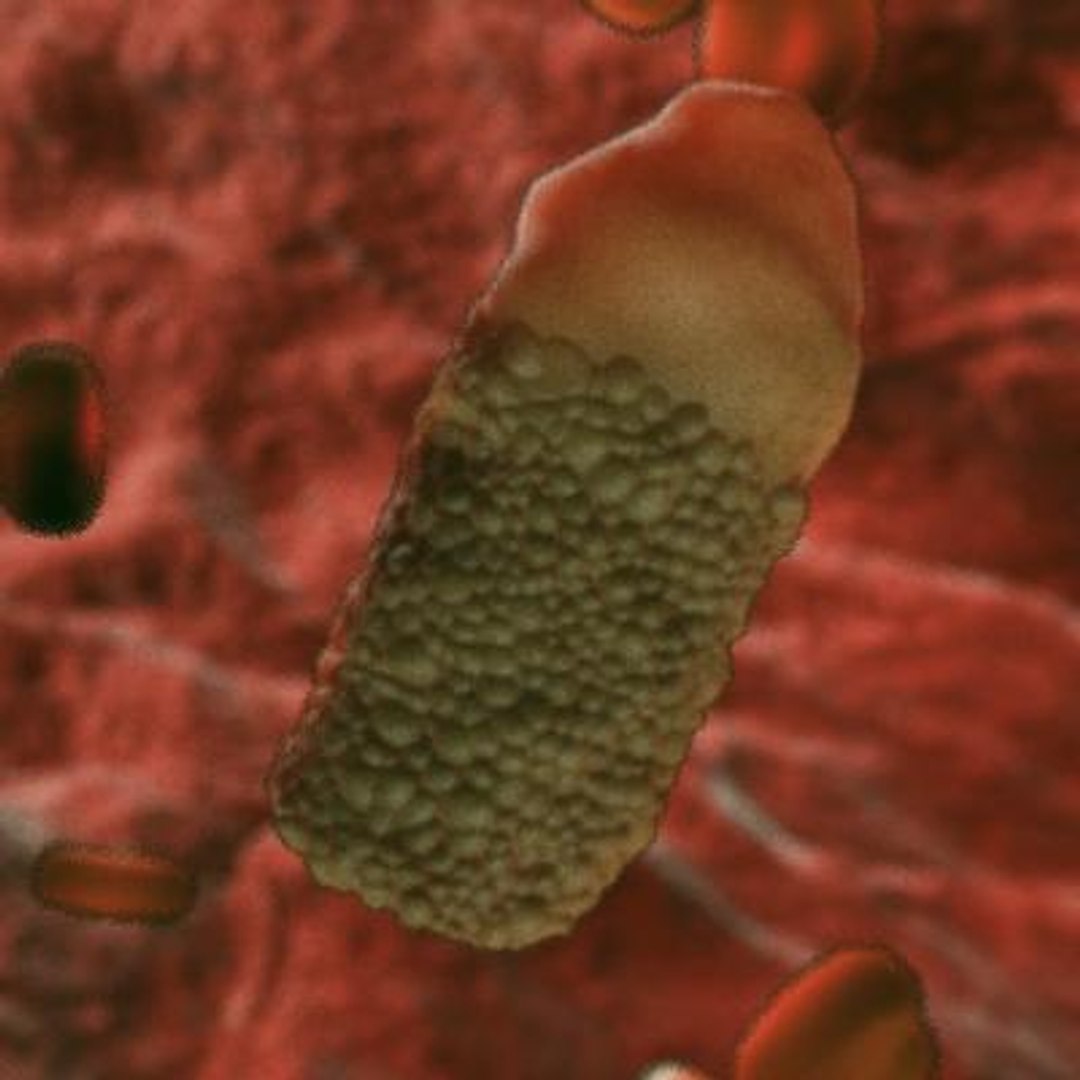20 viruses virus 3d model https://p.turbosquid.com/ts-thumb/h4/c7Fqg8/ZV5edPqM/infectioushematopoieticnecrosisvirus1/jpg/1284132098/1920x1080/fit_q87/277094d7fa937f26a6f84f1b3fe84a7e26beb4dd/infectioushematopoieticnecrosisvirus1.jpg