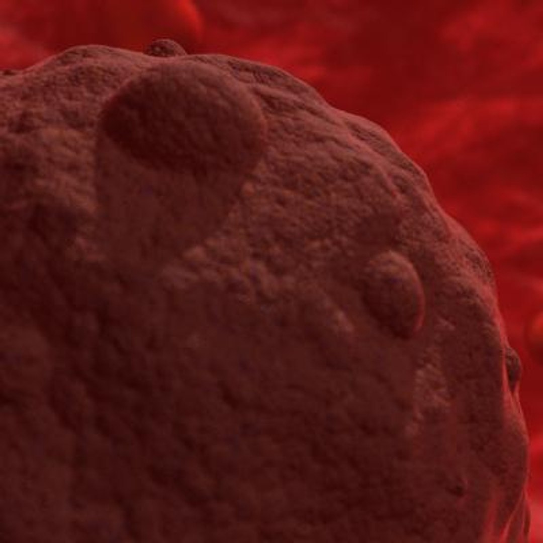 20 viruses virus 3d model https://p.turbosquid.com/ts-thumb/h4/c7Fqg8/b14RD1ir/hantavirus2/jpg/1284131963/1920x1080/fit_q87/940087099fb001d051bbff3f4134cd0b81edd8ae/hantavirus2.jpg