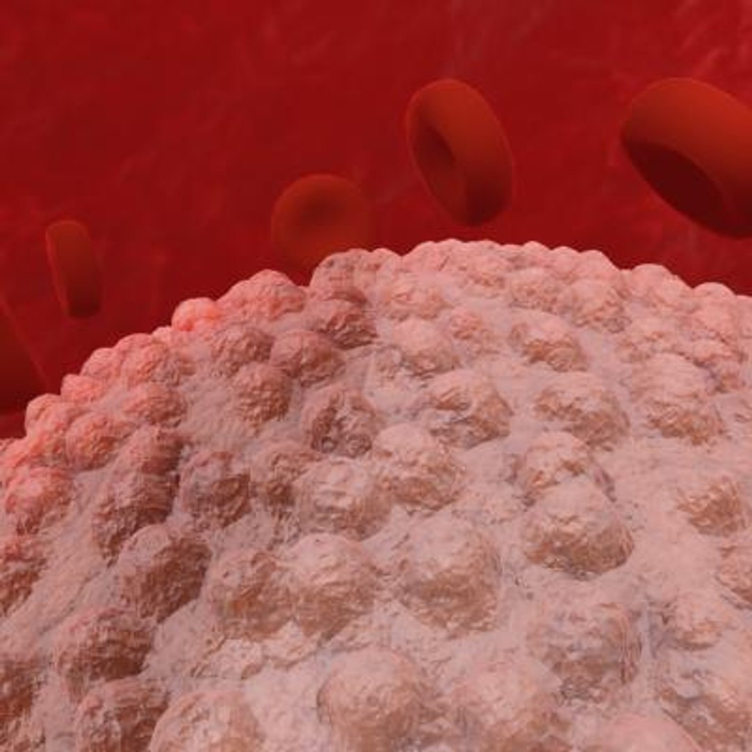 20 viruses virus 3d model https://p.turbosquid.com/ts-thumb/h4/c7Fqg8/bMAH6EiN/flavivirus5/jpg/1284131907/1920x1080/fit_q87/e74dd16fb34c53bf0c847c1a732018358b6dd89d/flavivirus5.jpg