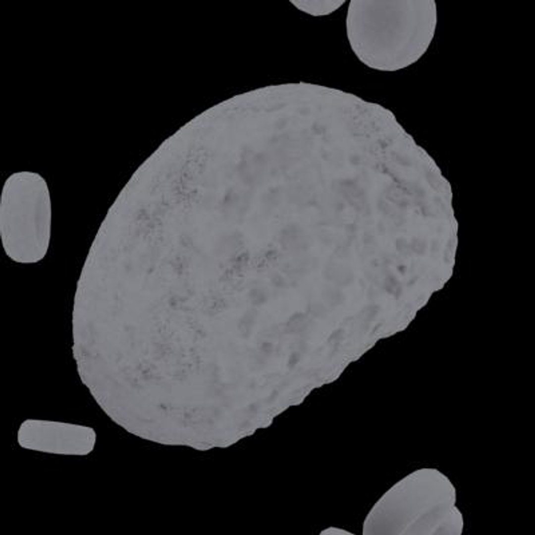20 viruses virus 3d model https://p.turbosquid.com/ts-thumb/h4/c7Fqg8/btxCJNma/ichnovirus7/jpg/1284132071/1920x1080/fit_q87/dd51c5ae215f7fcfc39be98f54e368a00fab4e18/ichnovirus7.jpg