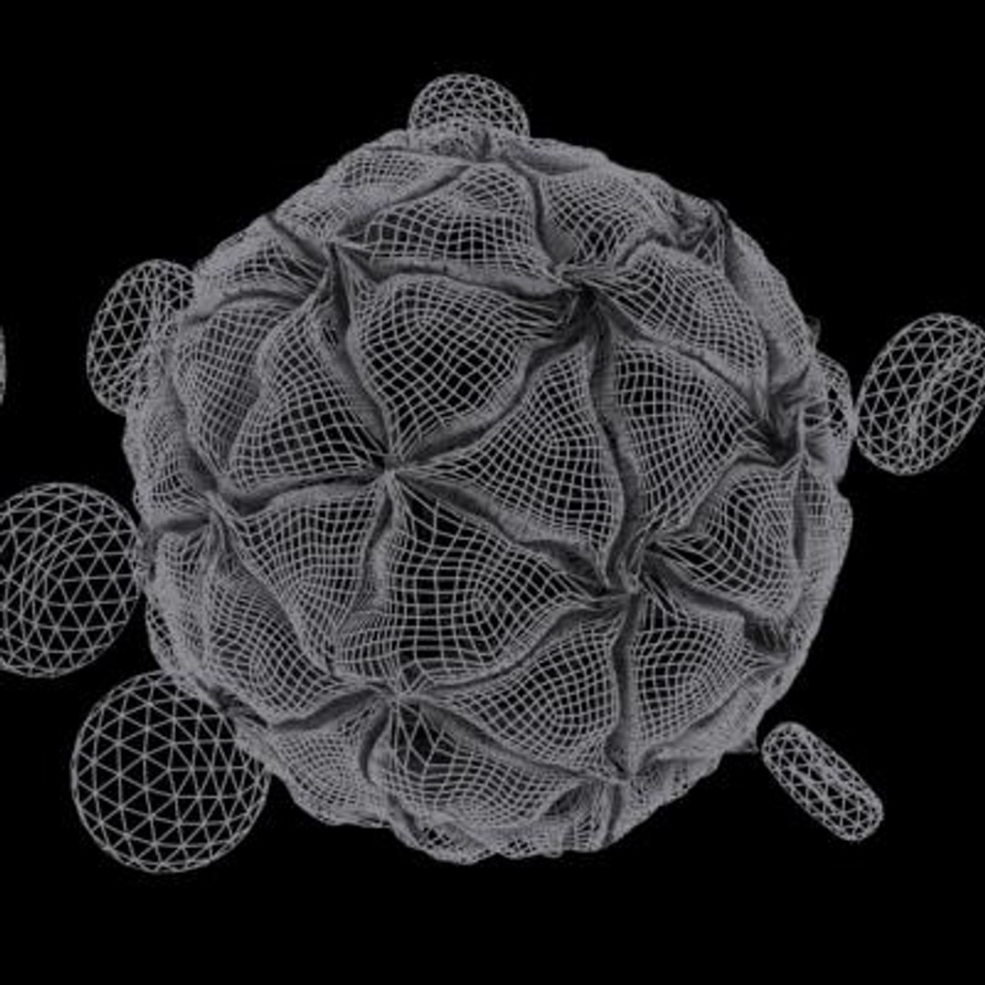 20 viruses virus 3d model https://p.turbosquid.com/ts-thumb/h4/c7Fqg8/cW2hOm2T/blackbeetlevirus13/jpg/1284131885/1920x1080/fit_q87/f19a9bc270bb7b28bb17ad172dc5c567d5ef6dfa/blackbeetlevirus13.jpg