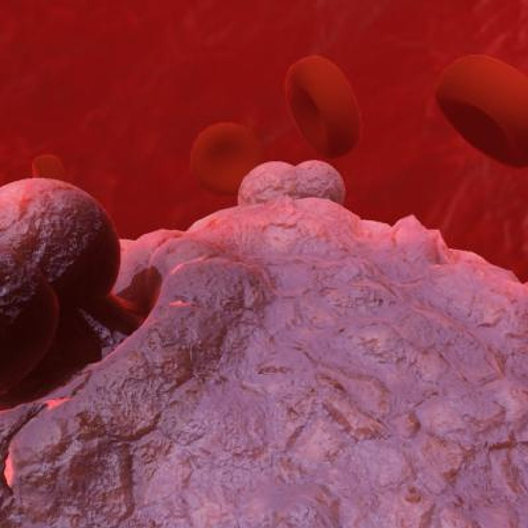 20 viruses virus 3d model https://p.turbosquid.com/ts-thumb/h4/c7Fqg8/dicDS4qx/humanfoamyvirus5/jpg/1284132023/1920x1080/fit_q87/940c75f4414d3f915171f71f0da8a8766147eb80/humanfoamyvirus5.jpg