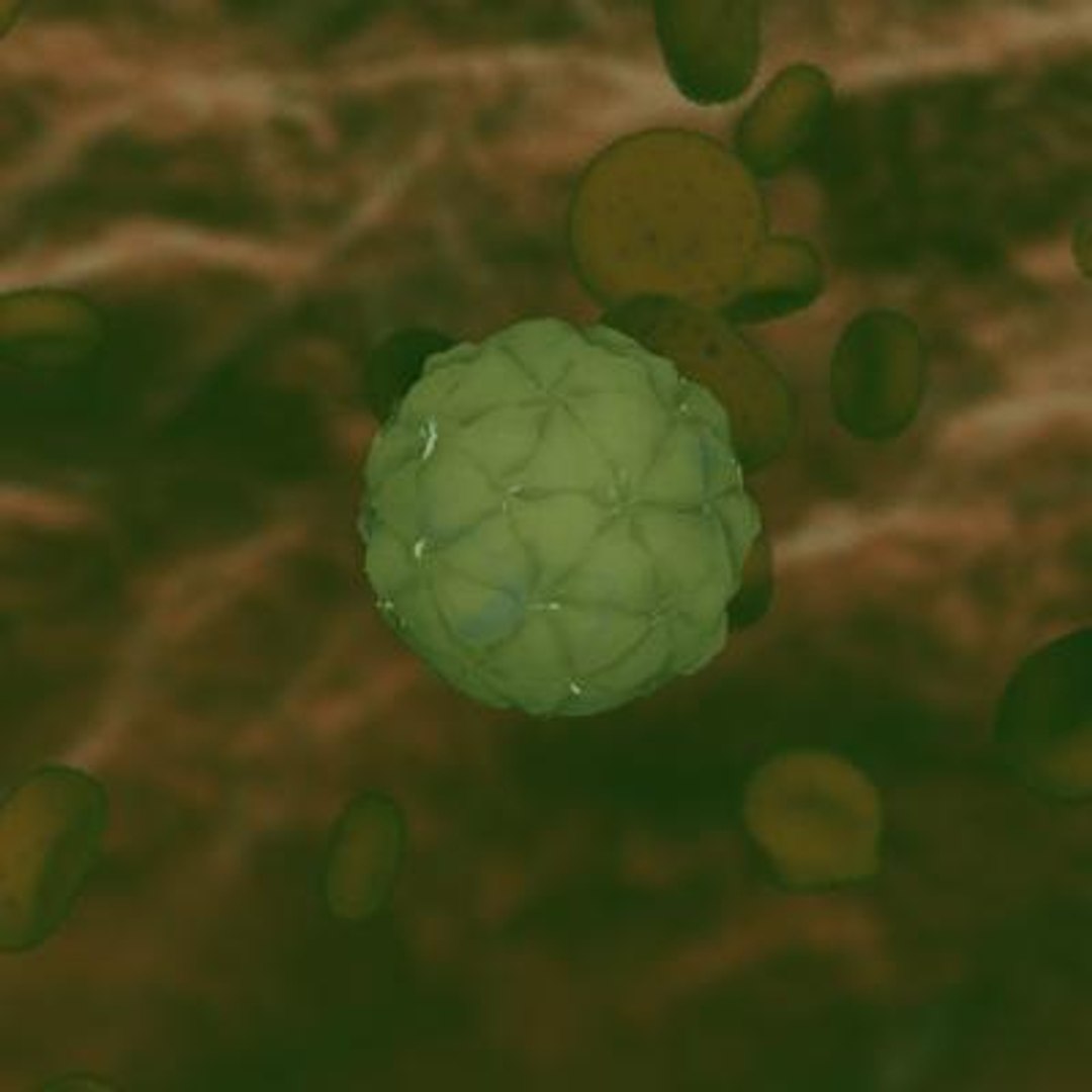 20 viruses virus 3d model https://p.turbosquid.com/ts-thumb/h4/c7Fqg8/drWwJIST/blackbeetlevirus3/jpg/1284131885/1920x1080/fit_q87/52b9b1b7d6b78b948fc2cb30d6f0cecef52deff3/blackbeetlevirus3.jpg