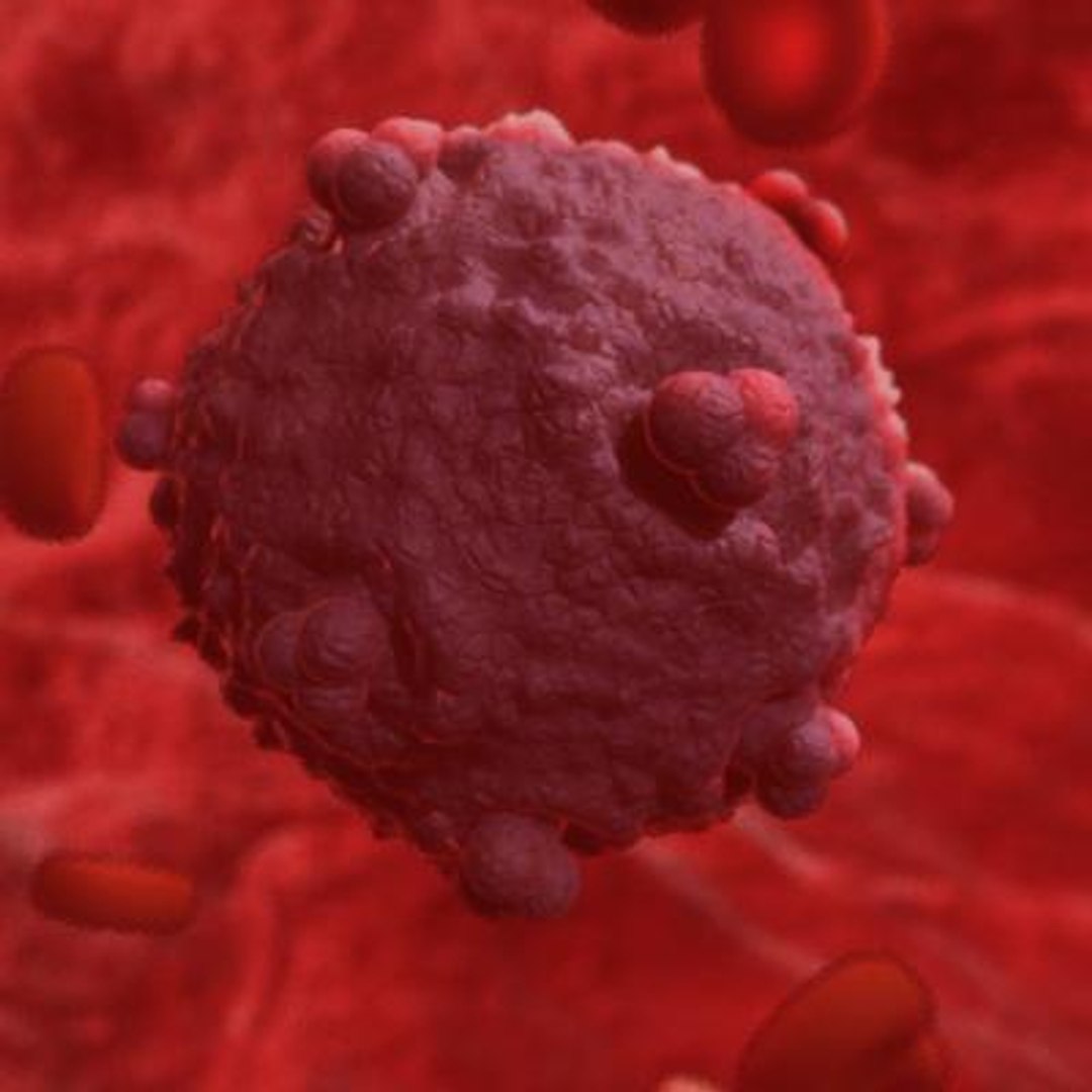20 viruses virus 3d model https://p.turbosquid.com/ts-thumb/h4/c7Fqg8/dtl8o309/humanfoamyvirus1/jpg/1284132022/1920x1080/fit_q87/50be1e953592d988b2948b52c6895901e4bdbe13/humanfoamyvirus1.jpg