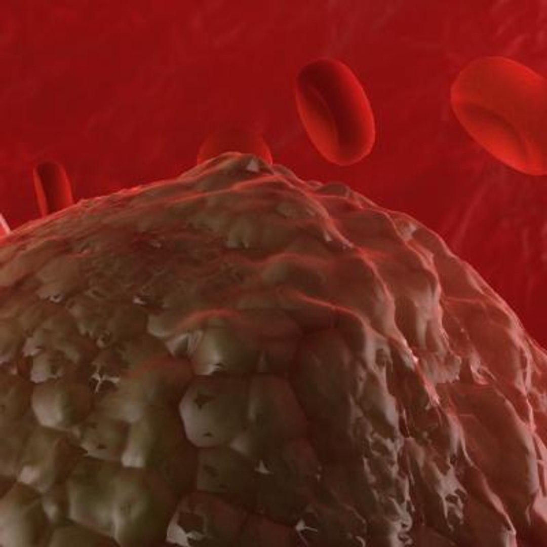 20 viruses virus 3d model https://p.turbosquid.com/ts-thumb/h4/c7Fqg8/e5gHBx22/ichnovirus5/jpg/1284132071/1920x1080/fit_q87/efa4369e15da201aaad75d68bbe523c18a473397/ichnovirus5.jpg