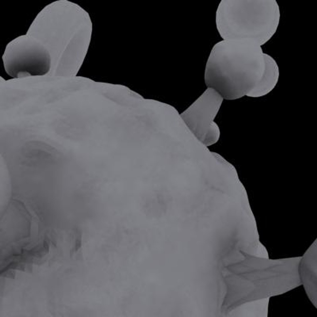 20 viruses virus 3d model https://p.turbosquid.com/ts-thumb/h4/c7Fqg8/eGESksKP/humanblymphotropicvirus8/jpg/1284132001/1920x1080/fit_q87/43559079a6694054c78cabfc83b13d0dc19c927e/humanblymphotropicvirus8.jpg
