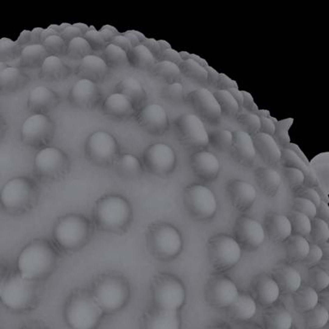 20 viruses virus 3d model https://p.turbosquid.com/ts-thumb/h4/c7Fqg8/fkzIG1Qs/flavivirus8/jpg/1284131907/1920x1080/fit_q87/ee6edee1329d23255b9ed3cbbd9304d8ab05a224/flavivirus8.jpg